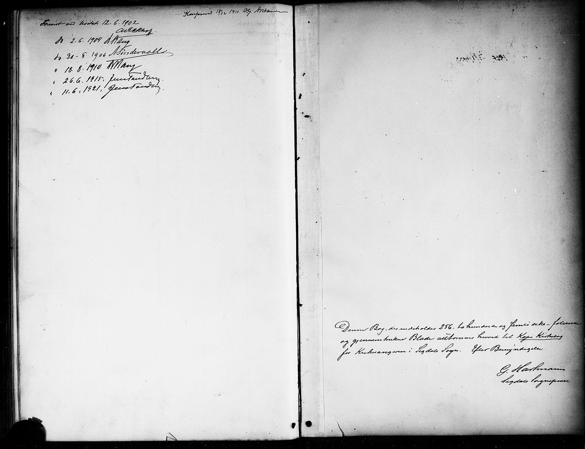 Sigdal kirkebøker, AV/SAKO-A-245/G/Ga/L0006: Klokkerbok nr. I 6, 1901-1916