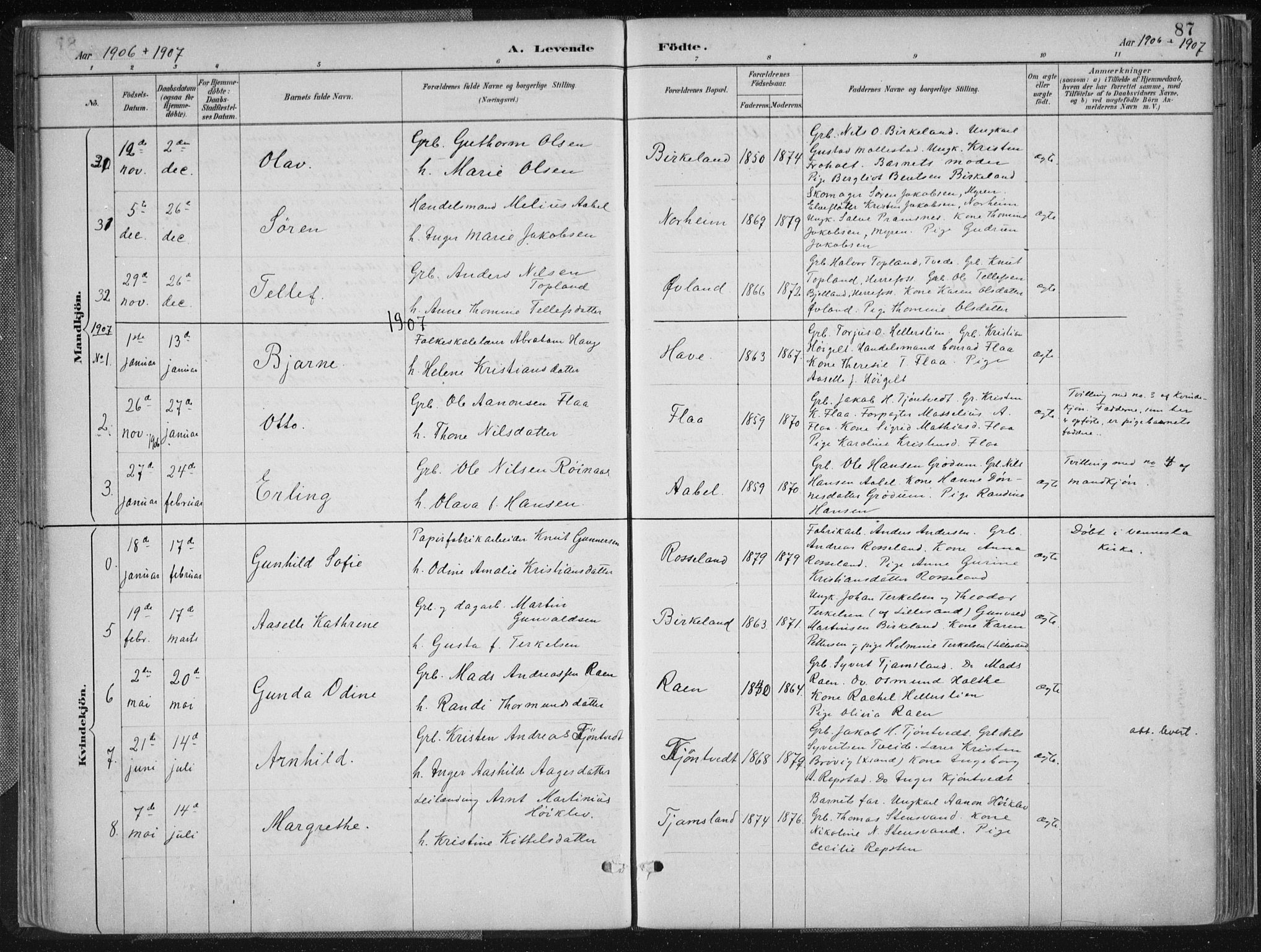 Birkenes sokneprestkontor, AV/SAK-1111-0004/F/Fa/L0005: Ministerialbok nr. A 5, 1887-1907, s. 87