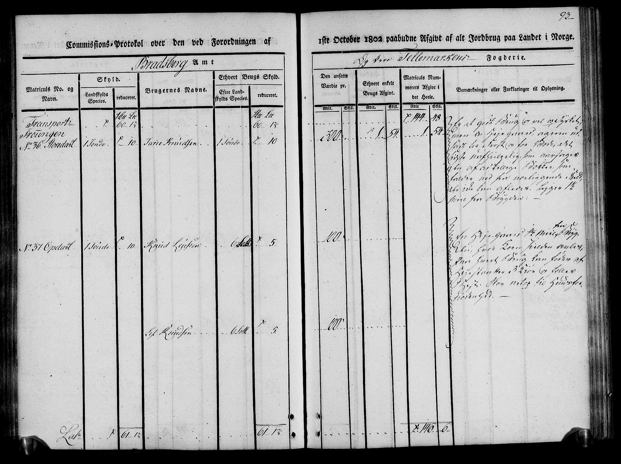 Rentekammeret inntil 1814, Realistisk ordnet avdeling, AV/RA-EA-4070/N/Ne/Nea/L0075: Øvre Telemarken fogderi. Kommisjonsprotokoll for fogderiets vestre del - Kviteseid, Vinje, Moland [):Fyresdal] og Lårdal prestegjeld., 1803, s. 93