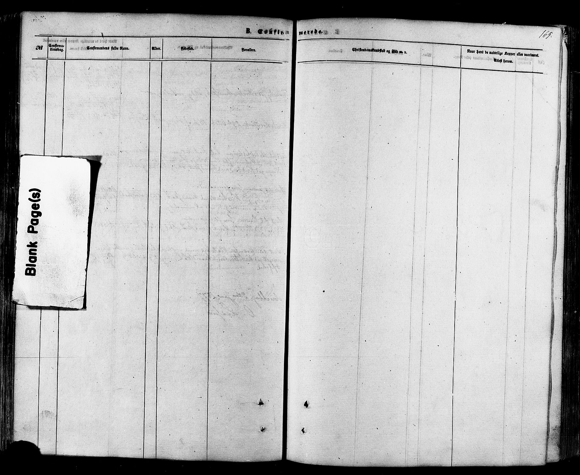 Nesseby sokneprestkontor, SATØ/S-1330/H/Ha/L0003kirke: Ministerialbok nr. 3 /1, 1865-1876, s. 165