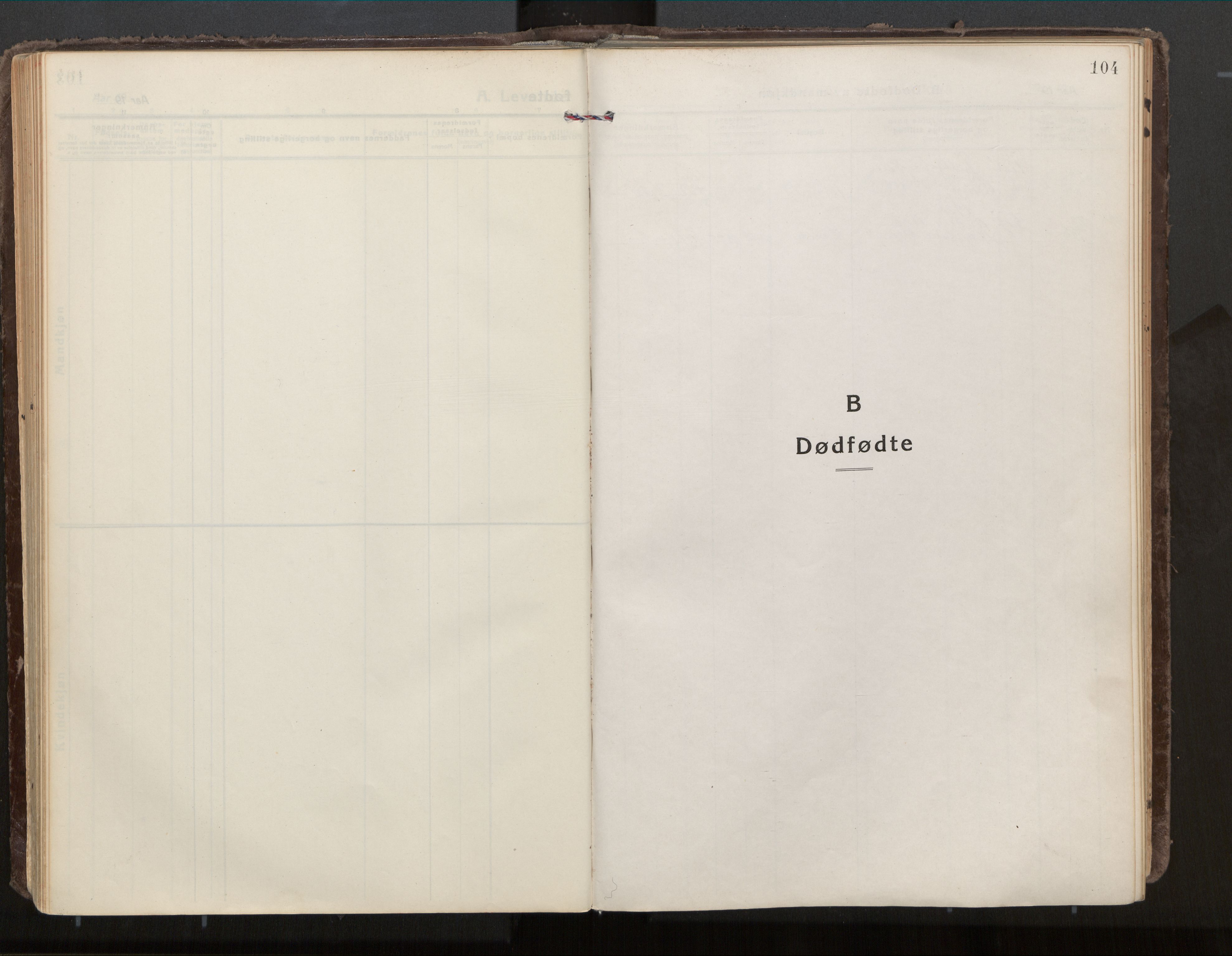 Ministerialprotokoller, klokkerbøker og fødselsregistre - Nordland, AV/SAT-A-1459/813/L0207a: Ministerialbok nr. 813A18, 1919-1927, s. 104
