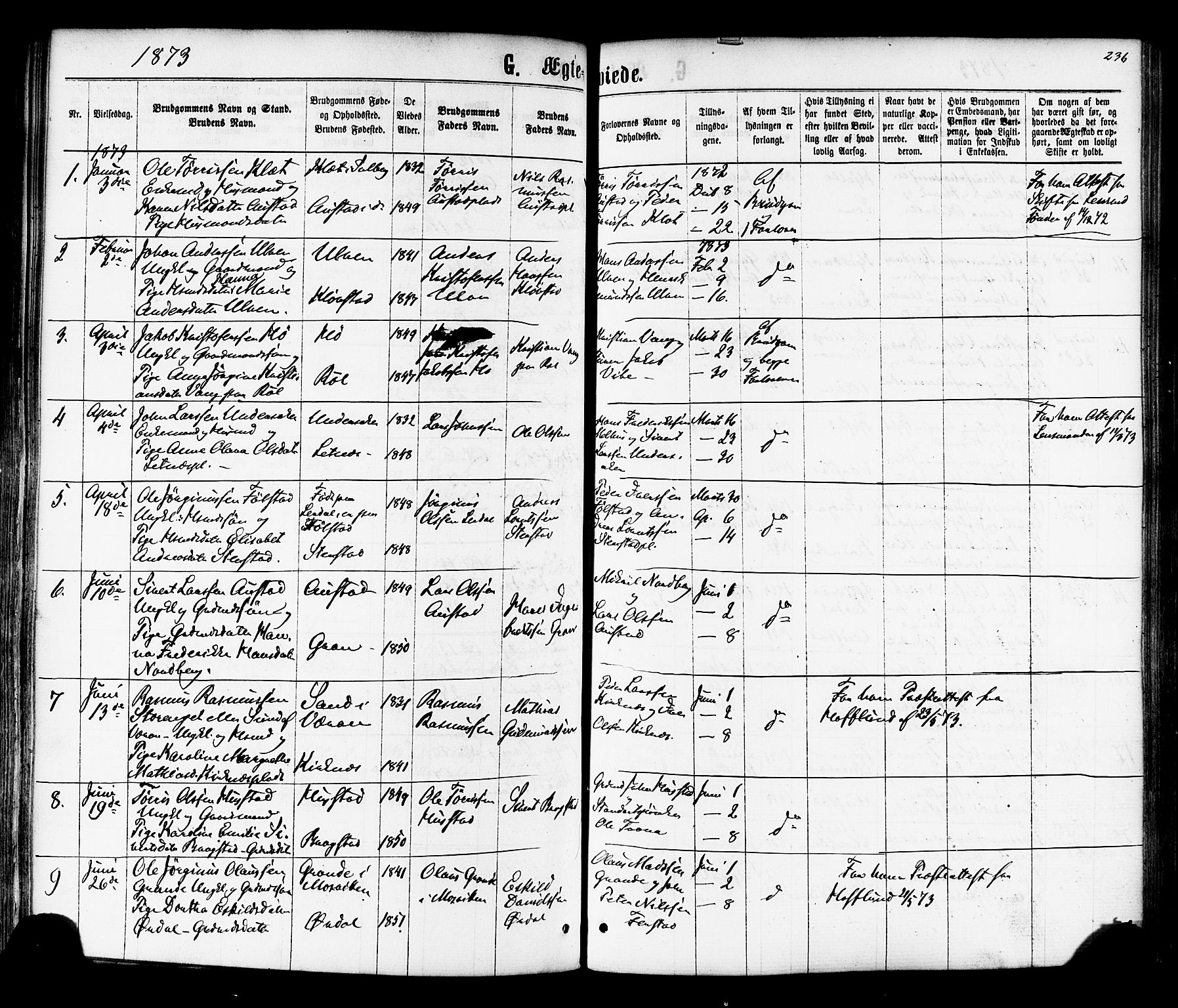 Ministerialprotokoller, klokkerbøker og fødselsregistre - Nord-Trøndelag, SAT/A-1458/730/L0284: Ministerialbok nr. 730A09, 1866-1878, s. 236