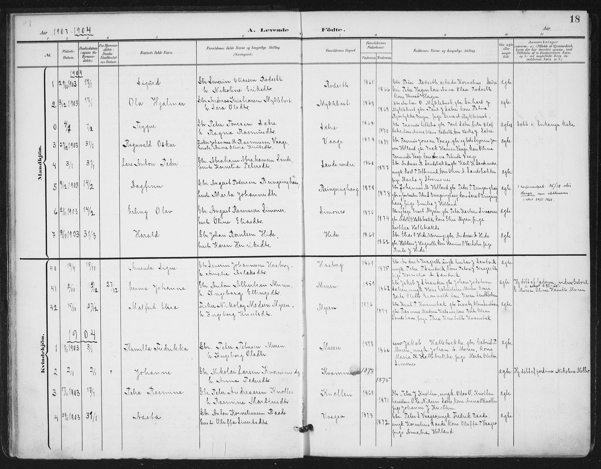 Ministerialprotokoller, klokkerbøker og fødselsregistre - Møre og Romsdal, AV/SAT-A-1454/503/L0038: Ministerialbok nr. 503A06, 1901-1917, s. 18