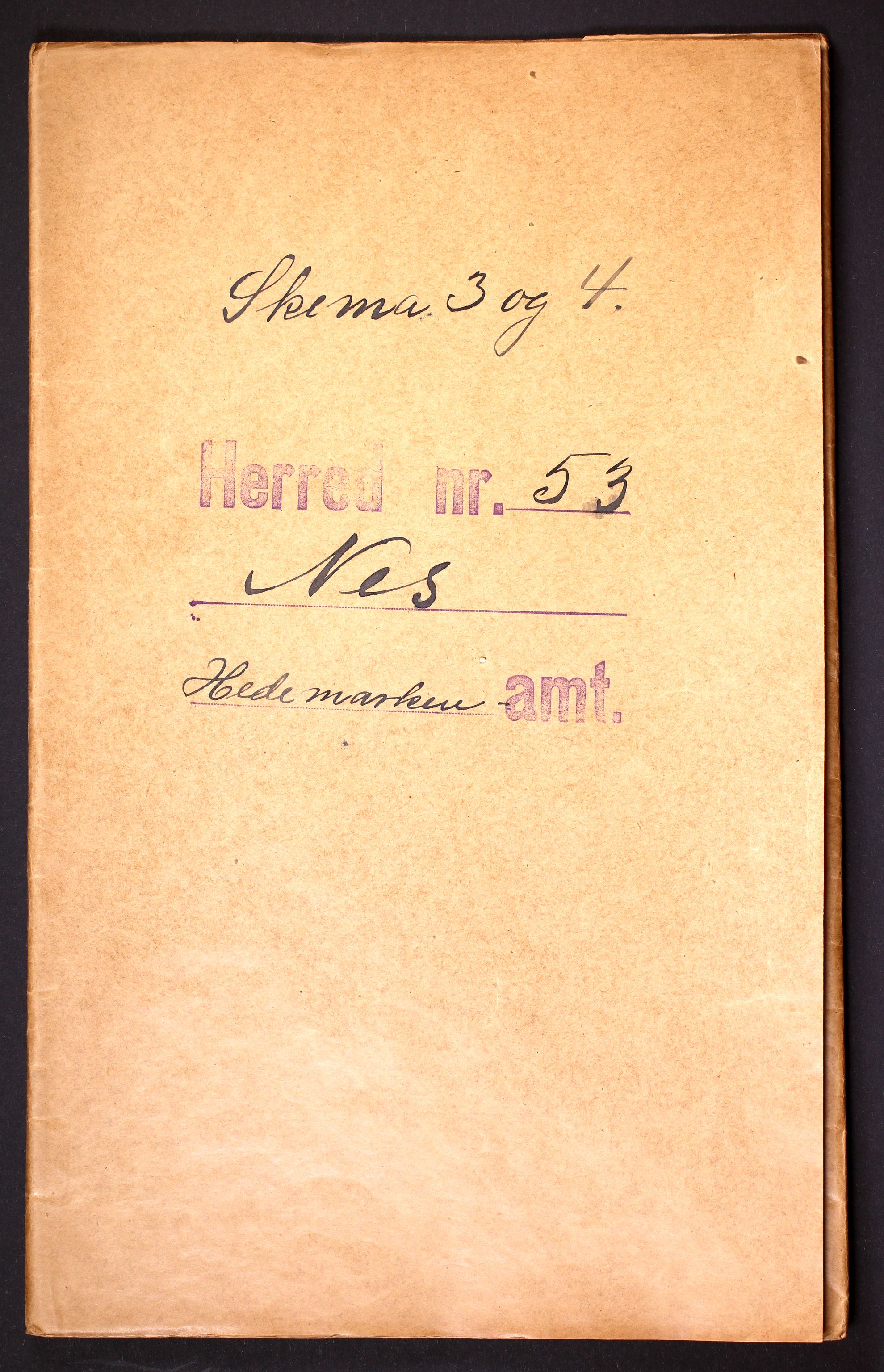 RA, Folketelling 1910 for 0411 Nes herred, 1910, s. 1