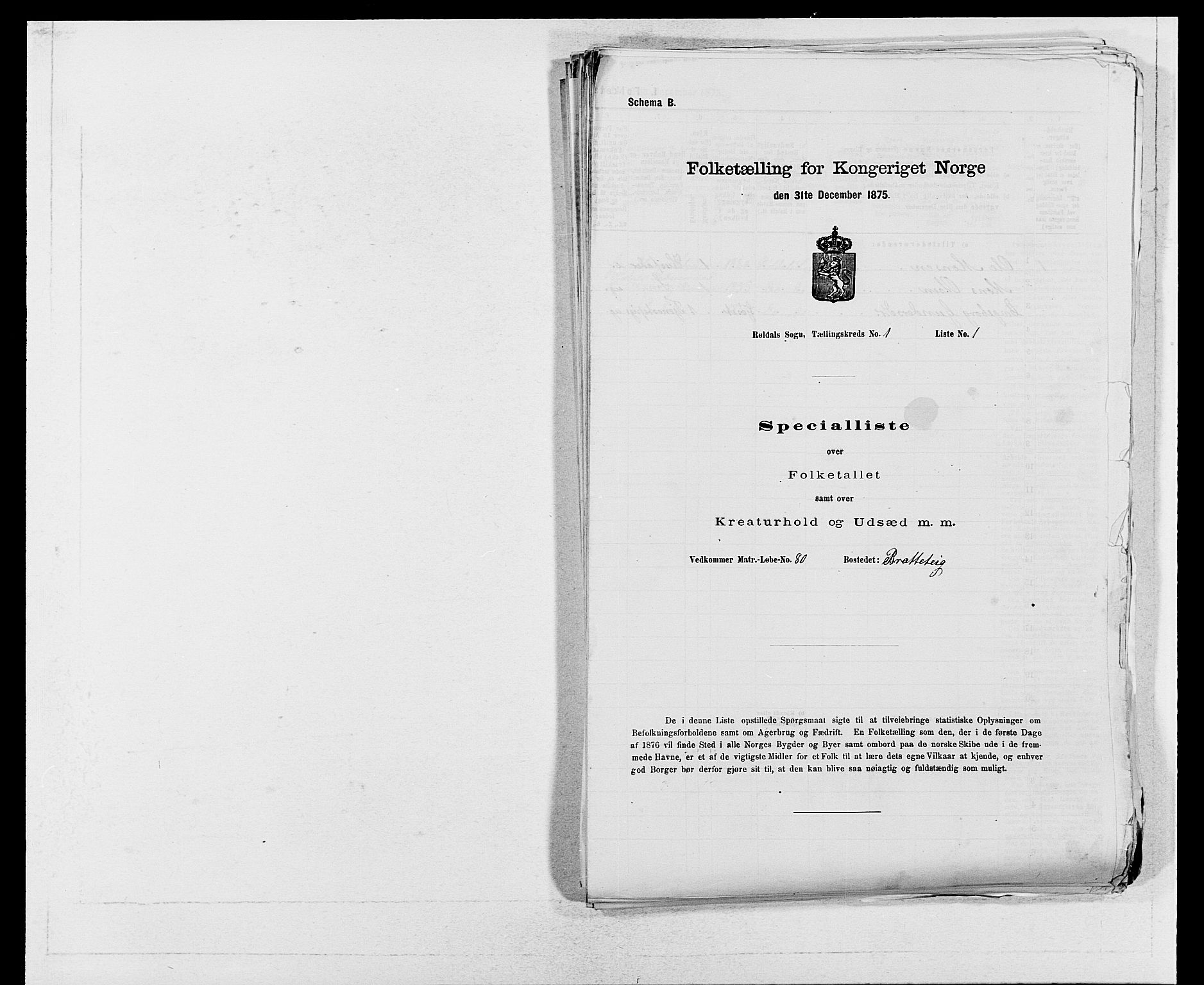 SAB, Folketelling 1875 for 1229P Røldal prestegjeld, 1875, s. 11