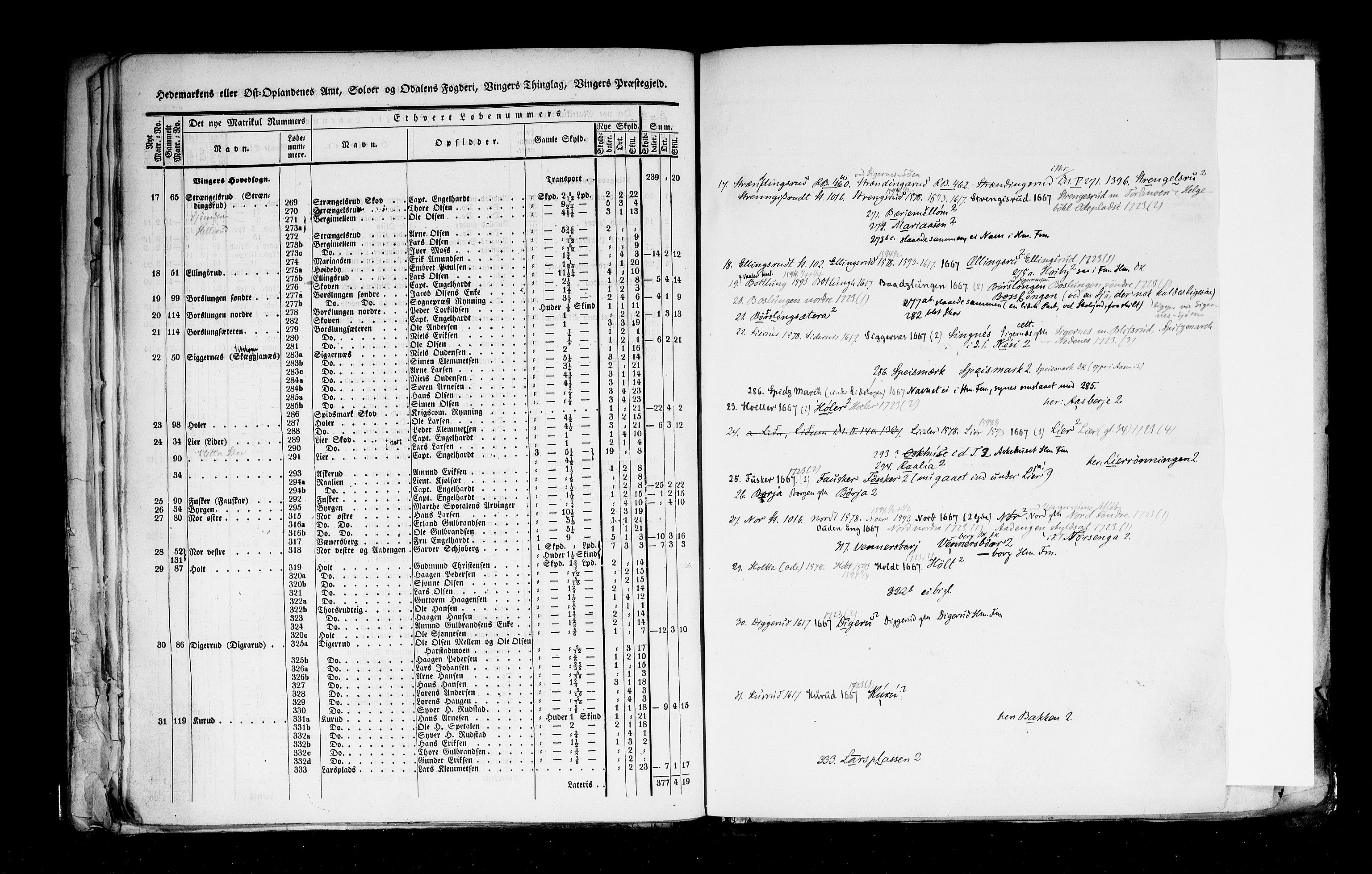 Rygh, RA/PA-0034/F/Fb/L0003: Matrikkelen for 1838 - Hedemarken amt (Hedmark fylke), 1838