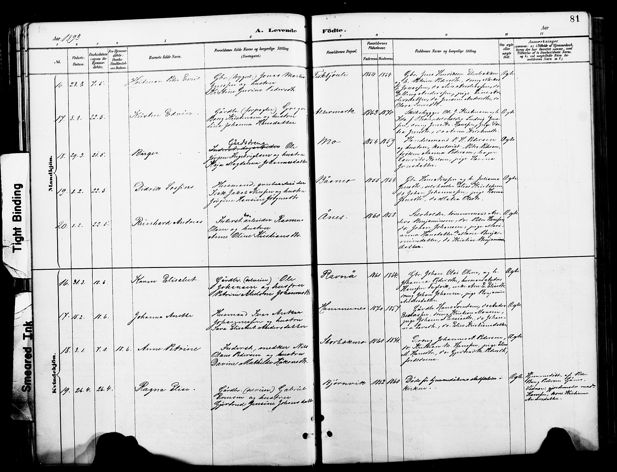 Ministerialprotokoller, klokkerbøker og fødselsregistre - Nordland, AV/SAT-A-1459/827/L0421: Klokkerbok nr. 827C10, 1887-1906, s. 81