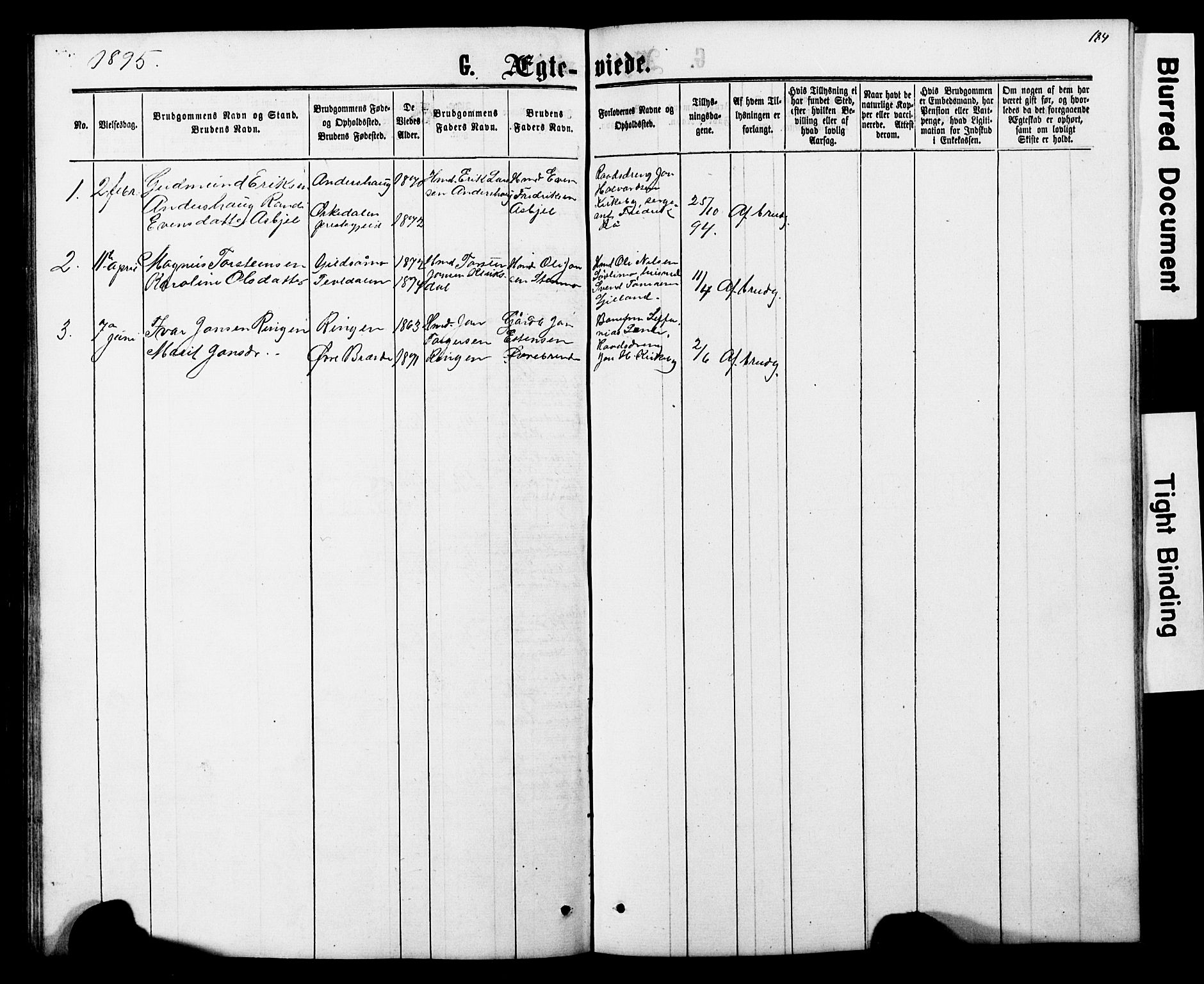 Ministerialprotokoller, klokkerbøker og fødselsregistre - Nord-Trøndelag, AV/SAT-A-1458/706/L0049: Klokkerbok nr. 706C01, 1864-1895, s. 184