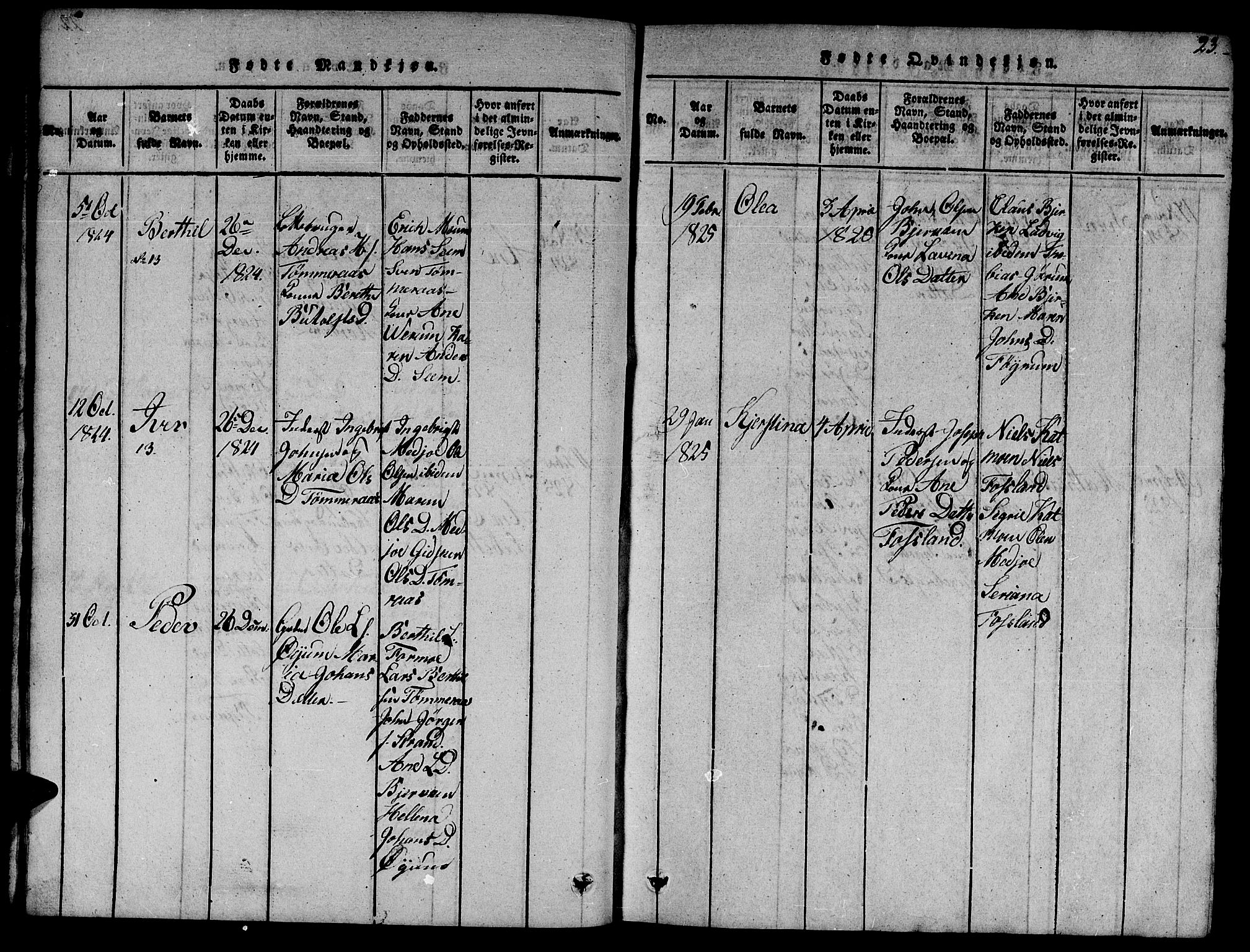 Ministerialprotokoller, klokkerbøker og fødselsregistre - Nord-Trøndelag, AV/SAT-A-1458/758/L0521: Klokkerbok nr. 758C01, 1816-1825, s. 23