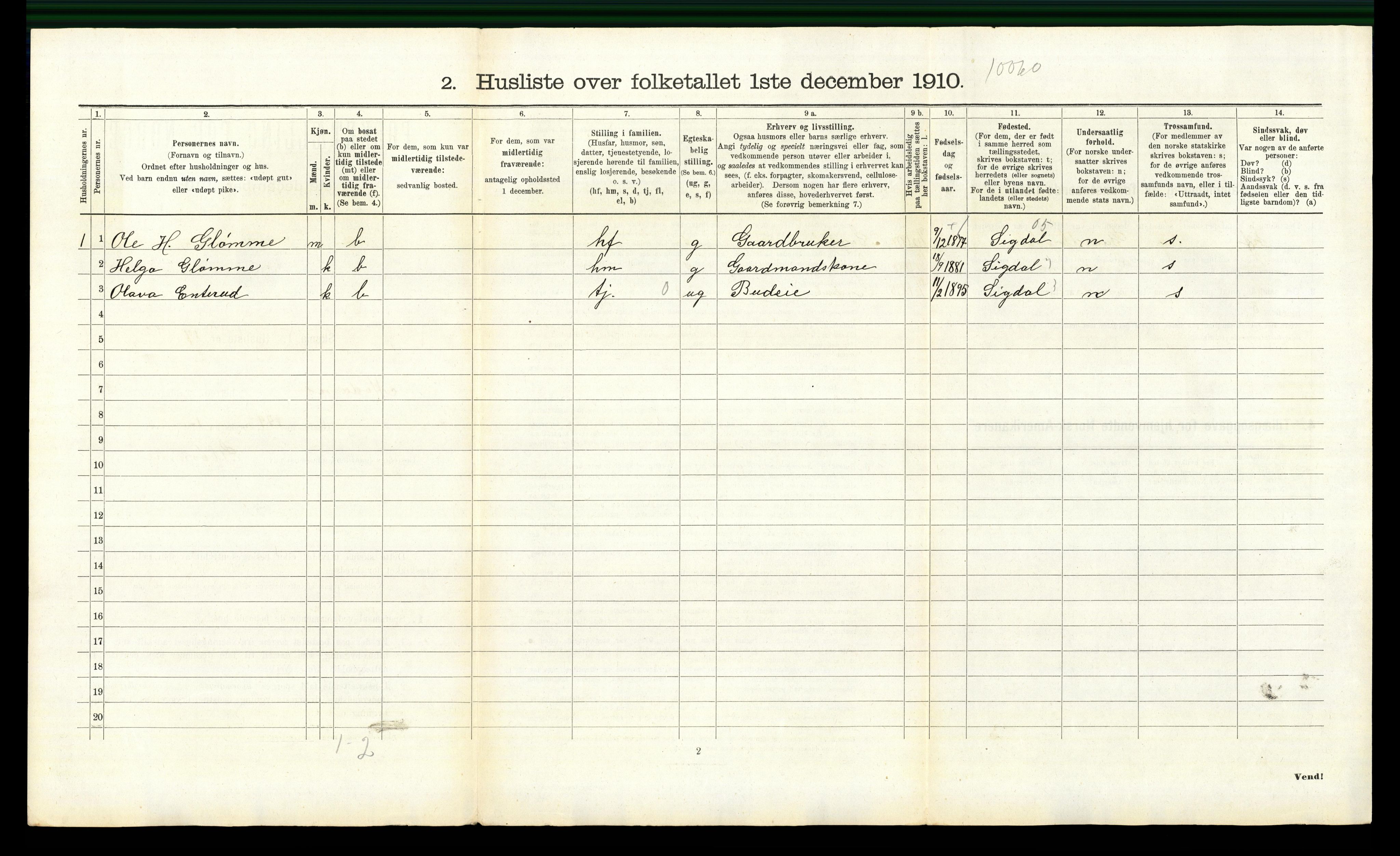 RA, Folketelling 1910 for 0623 Modum herred, 1910, s. 3733