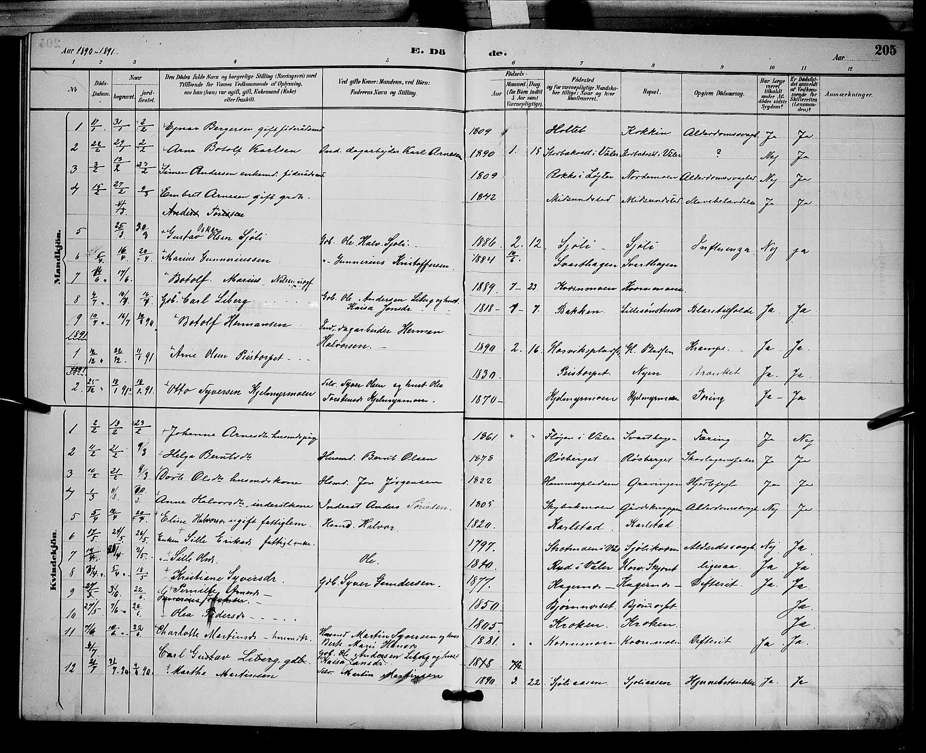 Åsnes prestekontor, AV/SAH-PREST-042/H/Ha/Hab/L0002: Klokkerbok nr. 2, 1890-1891, s. 205