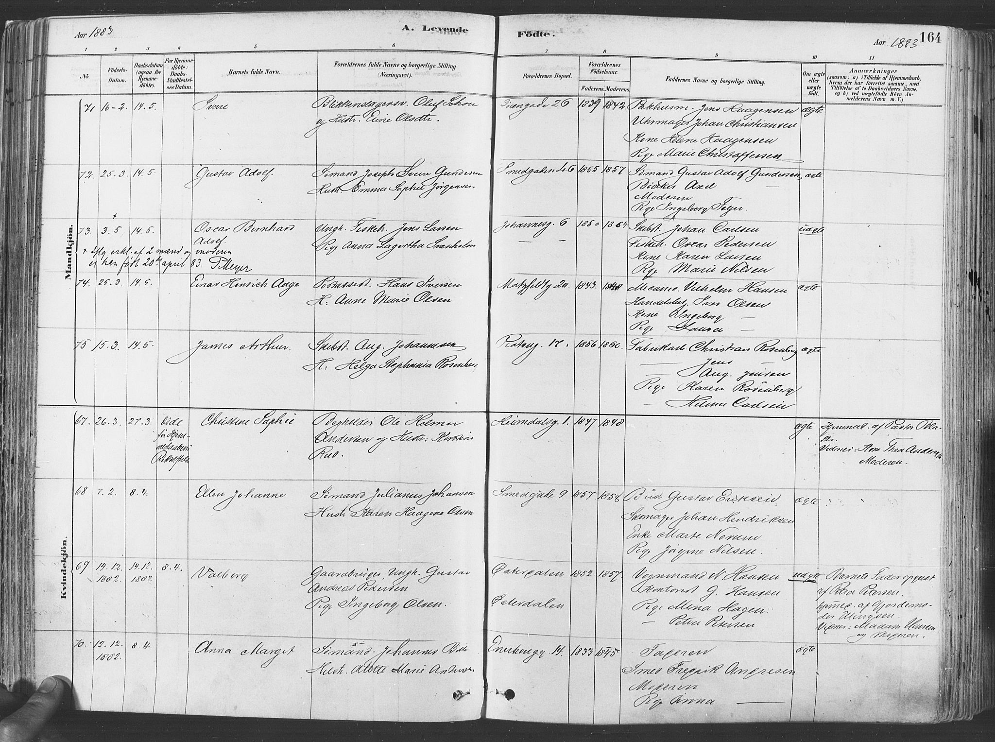 Grønland prestekontor Kirkebøker, SAO/A-10848/F/Fa/L0007: Ministerialbok nr. 7, 1878-1888, s. 164