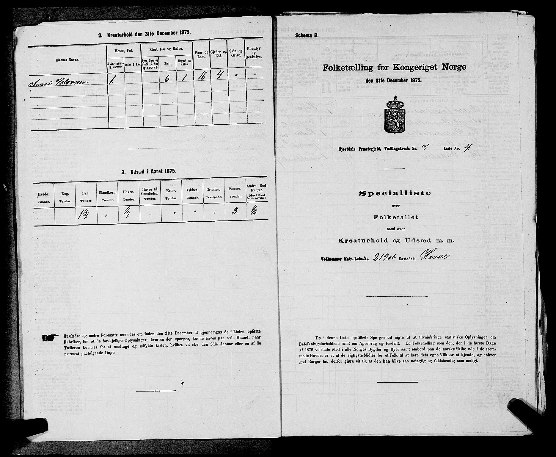 SAKO, Folketelling 1875 for 0827P Hjartdal prestegjeld, 1875, s. 958