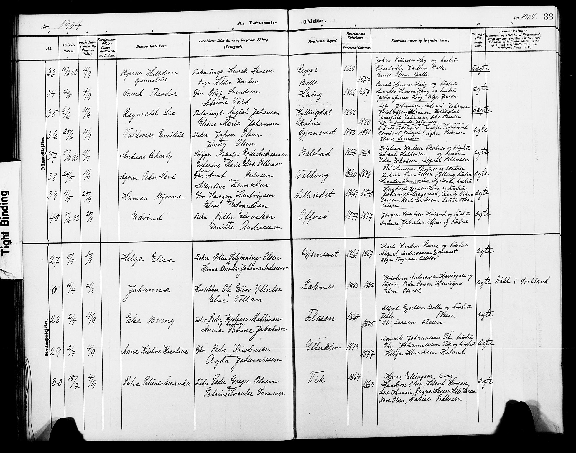 Ministerialprotokoller, klokkerbøker og fødselsregistre - Nordland, AV/SAT-A-1459/881/L1168: Klokkerbok nr. 881C05, 1900-1911, s. 38