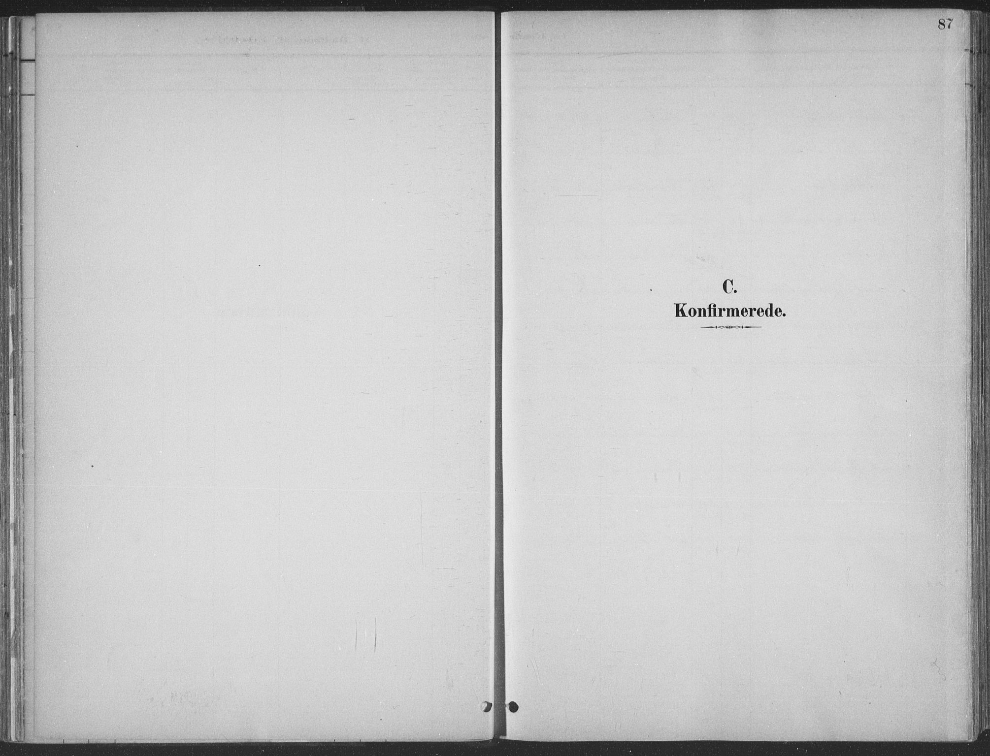 Søgne sokneprestkontor, AV/SAK-1111-0037/F/Fa/Faa/L0003: Ministerialbok nr. A 3, 1883-1910, s. 87