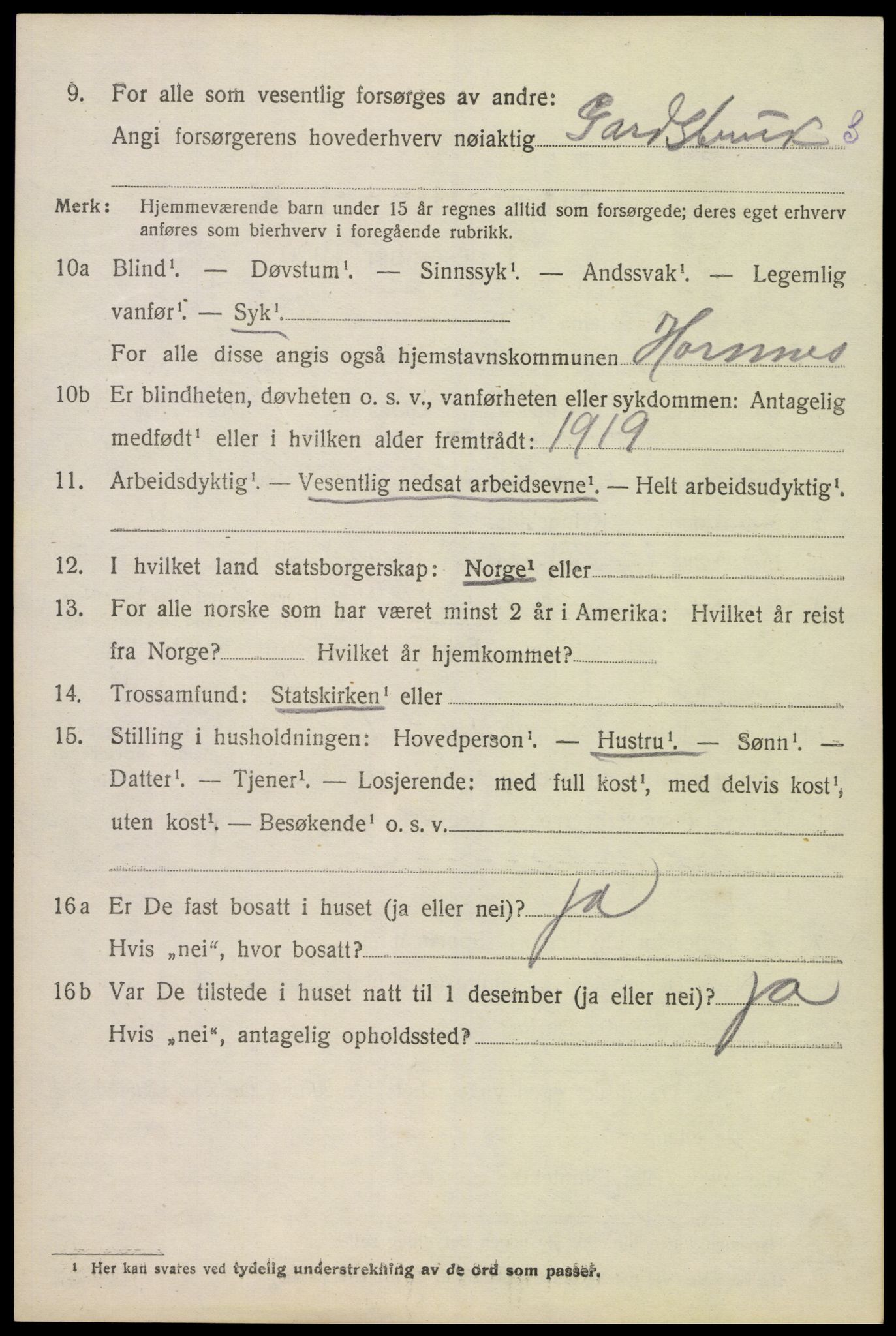 SAK, Folketelling 1920 for 0936 Hornnes herred, 1920, s. 3212