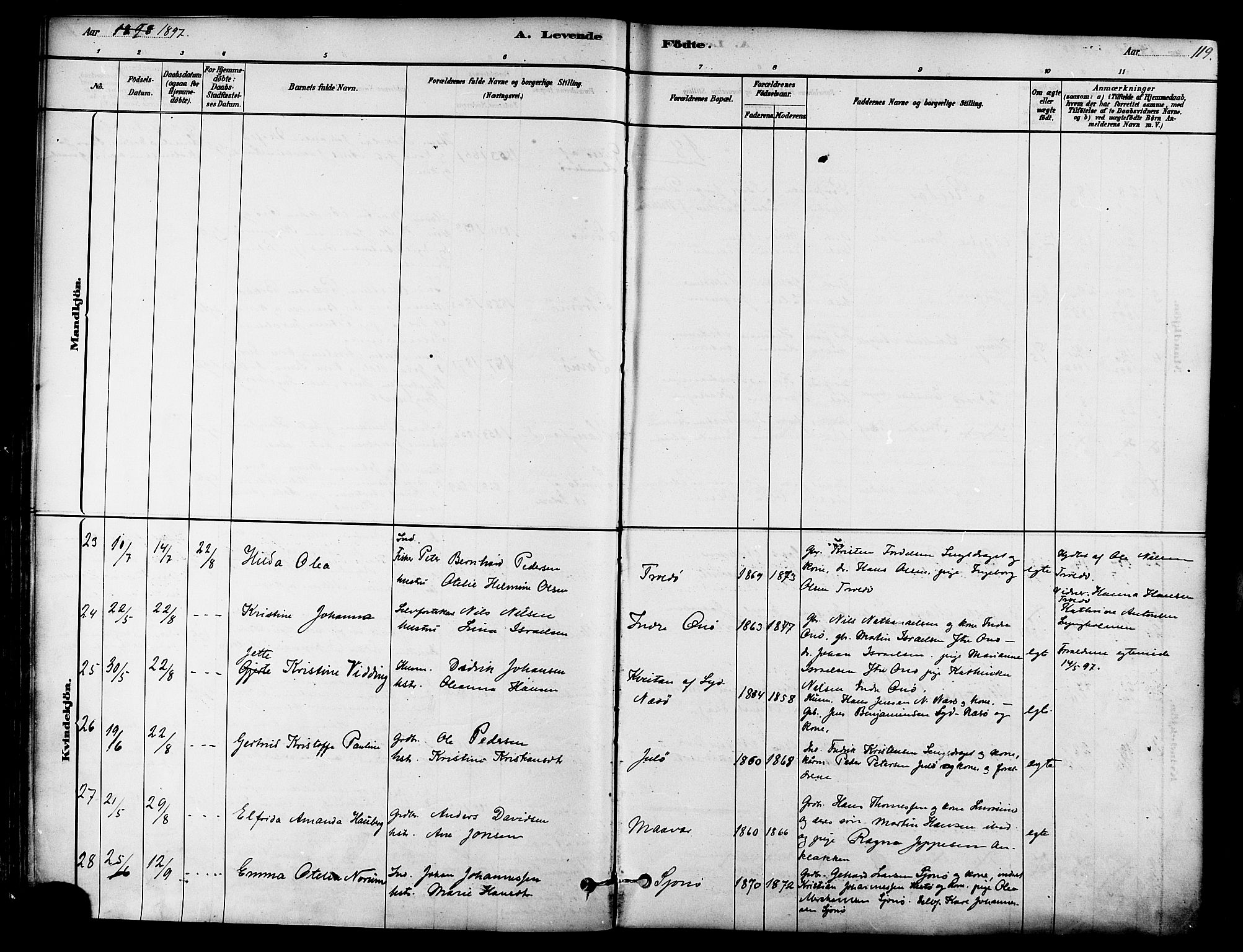 Ministerialprotokoller, klokkerbøker og fødselsregistre - Nordland, SAT/A-1459/839/L0568: Ministerialbok nr. 839A05, 1880-1902, s. 119