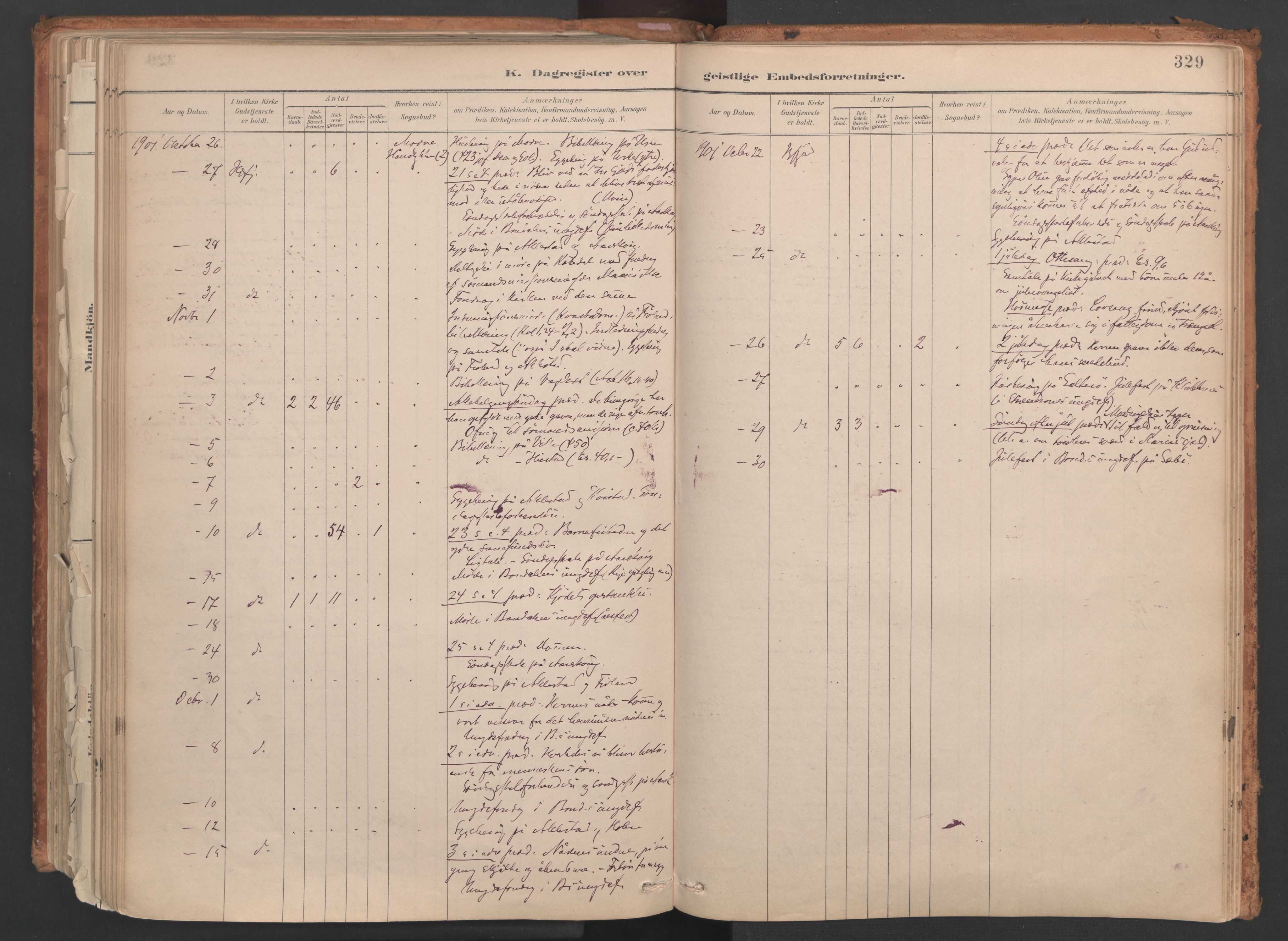 Ministerialprotokoller, klokkerbøker og fødselsregistre - Møre og Romsdal, AV/SAT-A-1454/515/L0211: Ministerialbok nr. 515A07, 1886-1910, s. 329