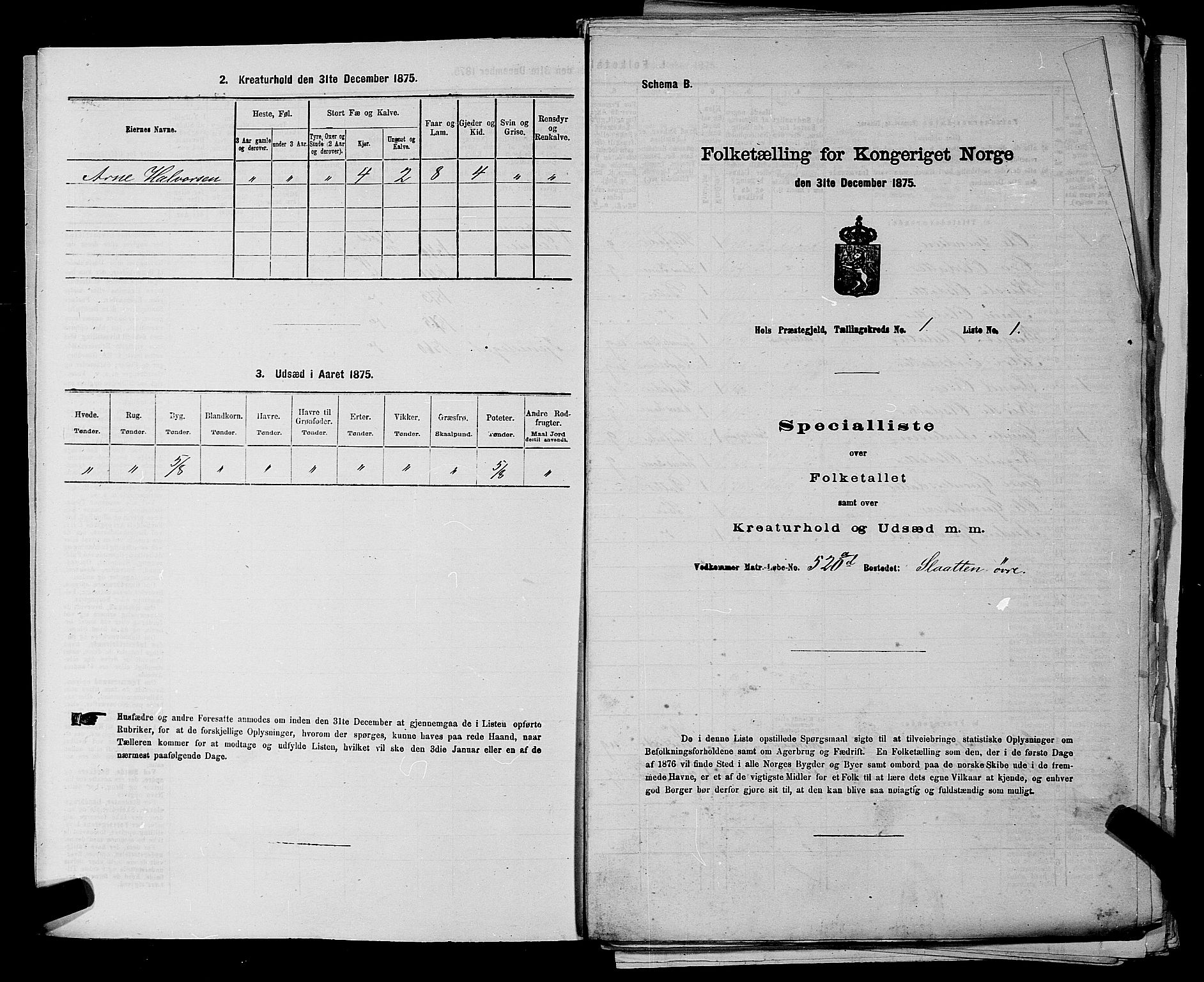 SAKO, Folketelling 1875 for 0620P Hol prestegjeld, 1875, s. 35