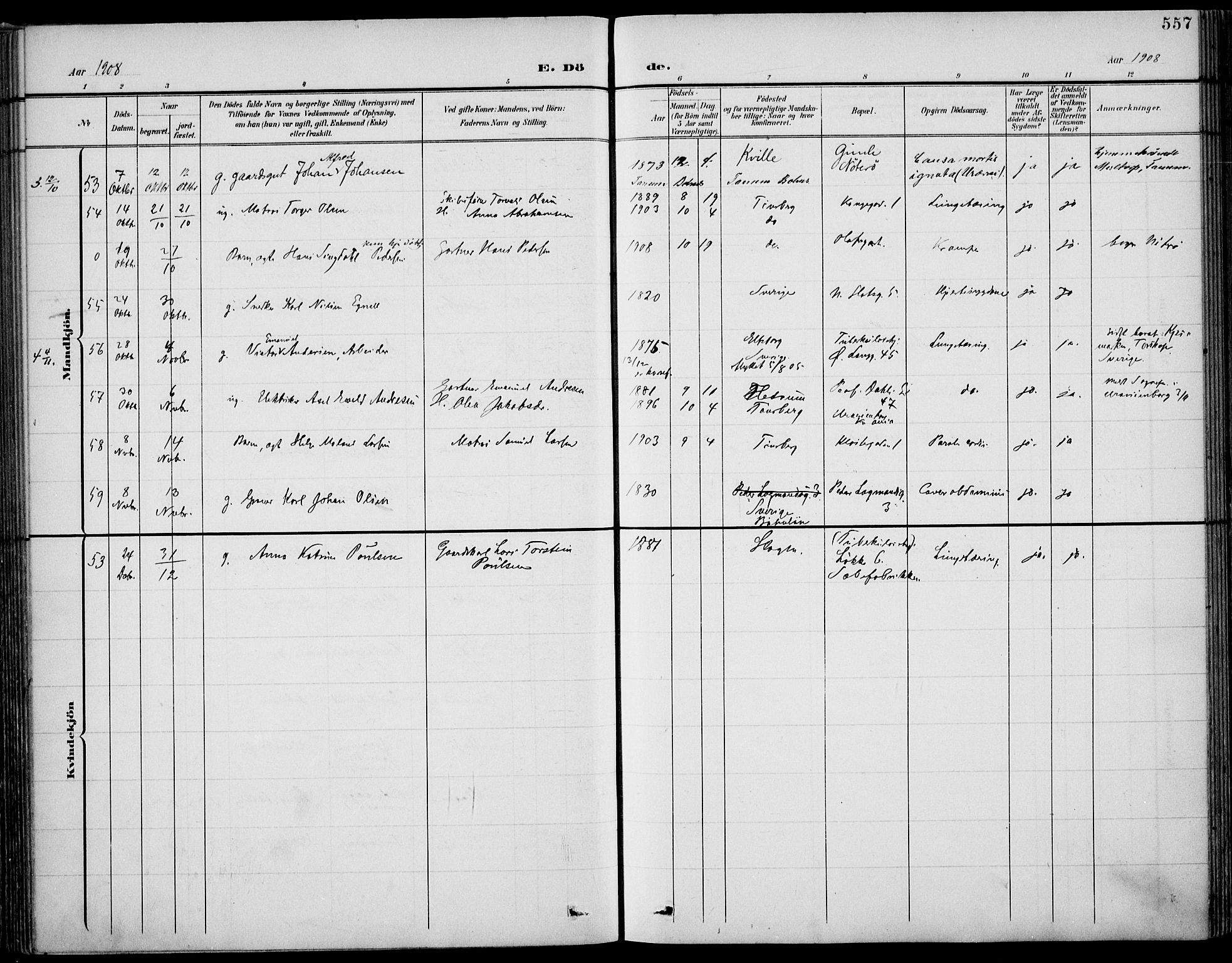 Tønsberg kirkebøker, AV/SAKO-A-330/F/Fa/L0013: Ministerialbok nr. I 13, 1900-1913, s. 557