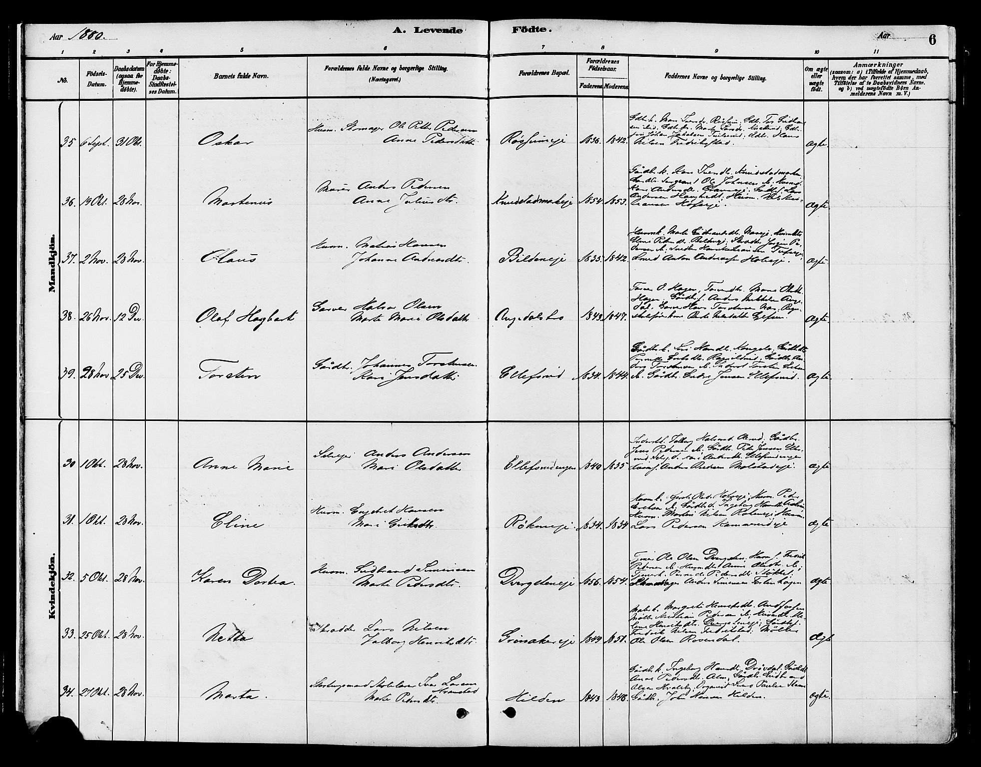 Gran prestekontor, AV/SAH-PREST-112/H/Ha/Haa/L0016: Ministerialbok nr. 16, 1880-1888, s. 6