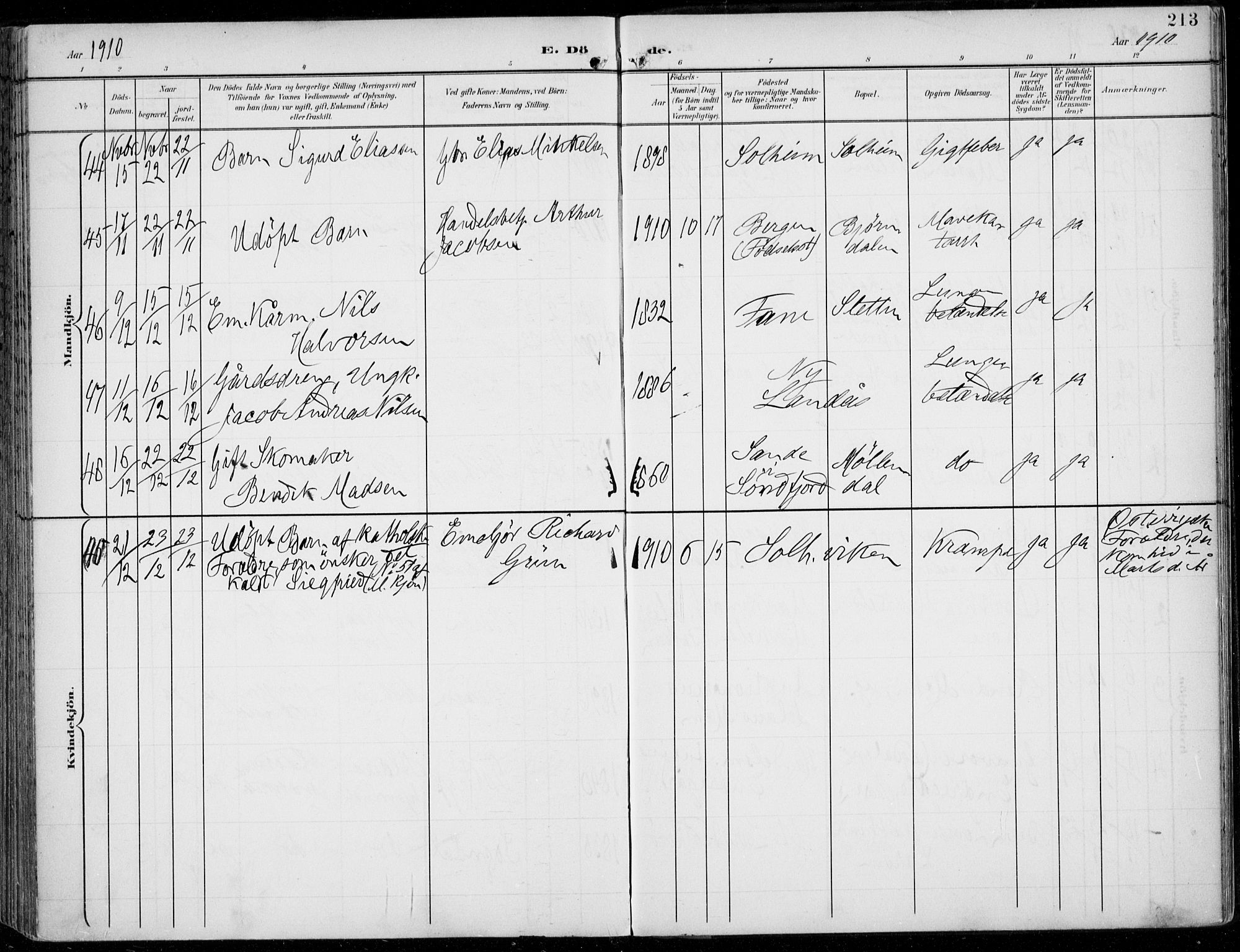 Årstad Sokneprestembete, AV/SAB-A-79301/H/Haa/L0009: Ministerialbok nr. C 1, 1902-1918, s. 213