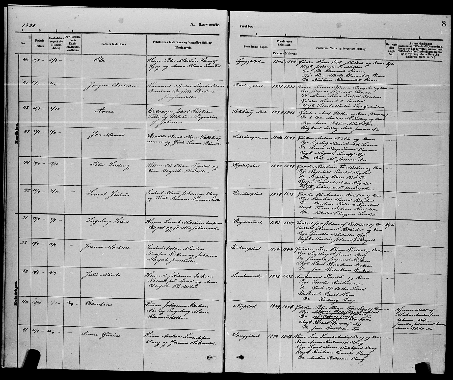 Ministerialprotokoller, klokkerbøker og fødselsregistre - Nord-Trøndelag, SAT/A-1458/730/L0301: Klokkerbok nr. 730C04, 1880-1897, s. 8