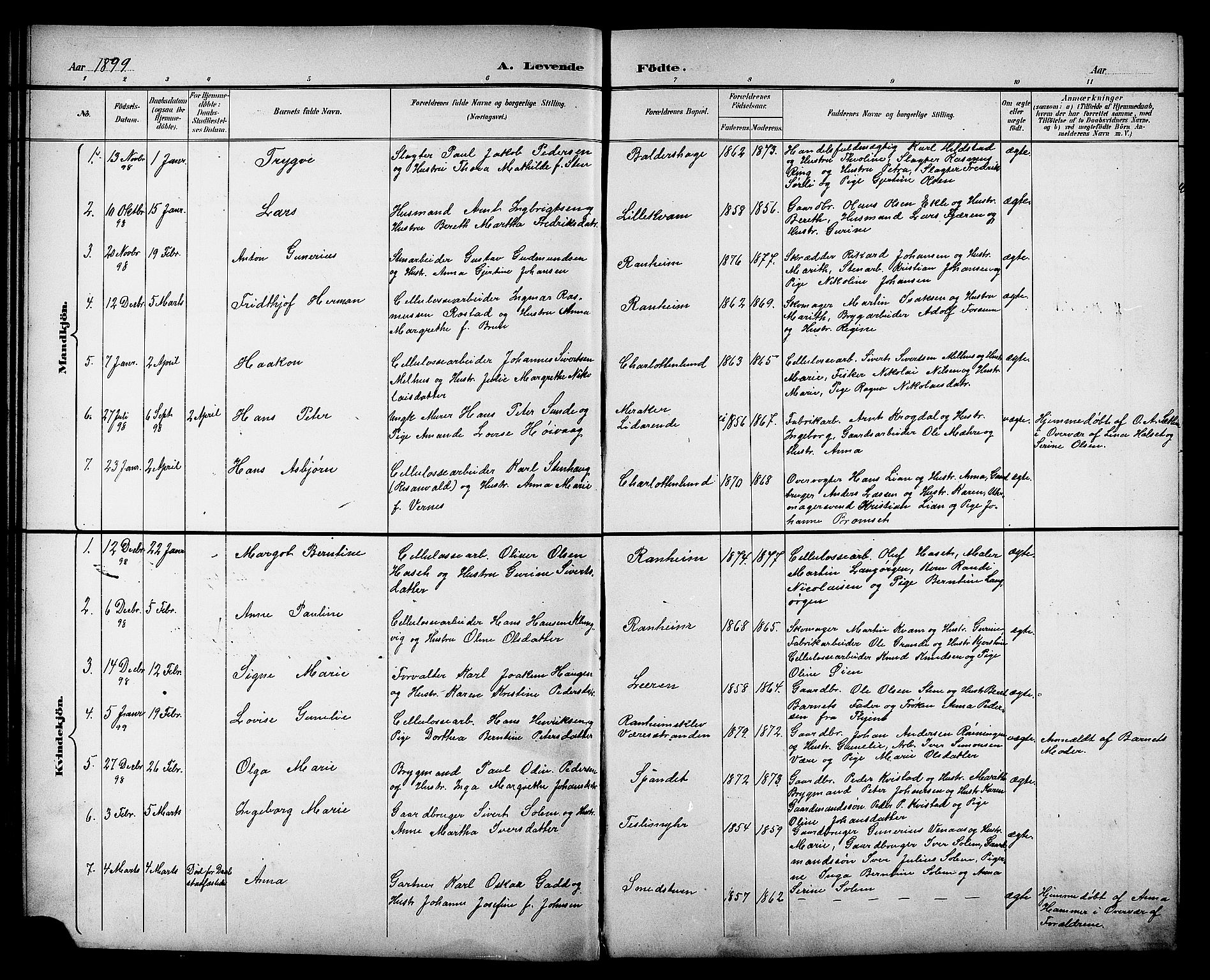 Ministerialprotokoller, klokkerbøker og fødselsregistre - Sør-Trøndelag, AV/SAT-A-1456/606/L0313: Klokkerbok nr. 606C09, 1895-1910