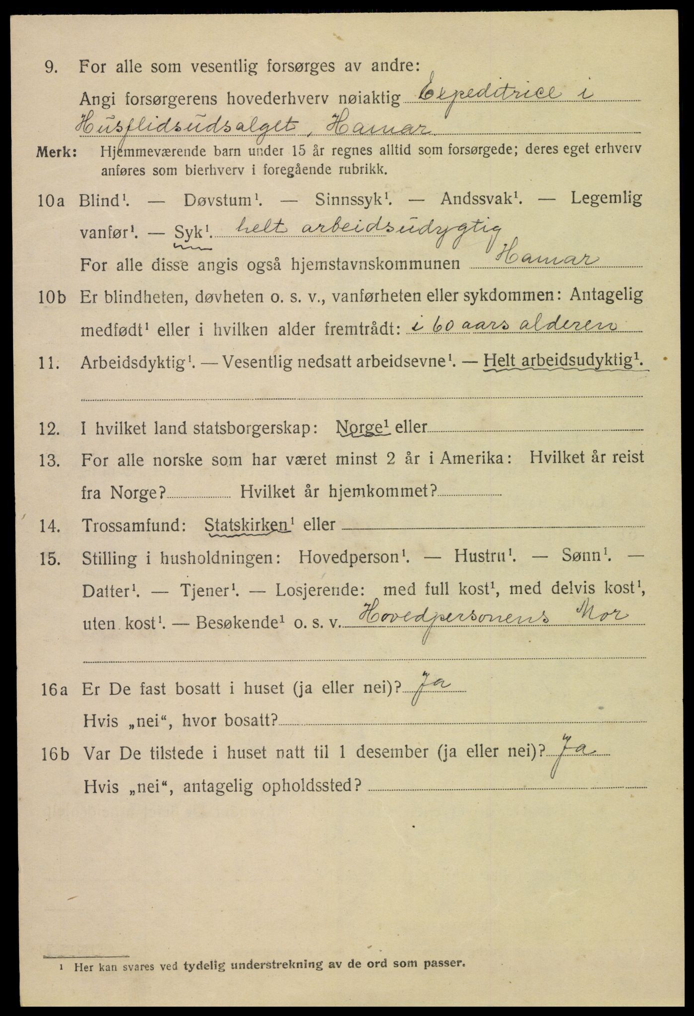 SAH, Folketelling 1920 for 0401 Hamar kjøpstad, 1920, s. 12088
