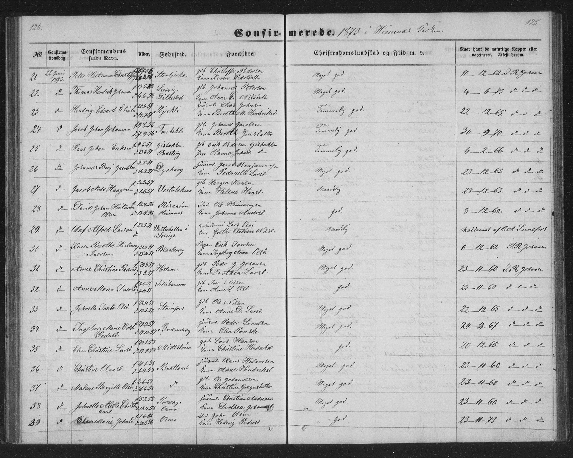 Ministerialprotokoller, klokkerbøker og fødselsregistre - Nordland, AV/SAT-A-1459/825/L0366: Klokkerbok nr. 825C03, 1858-1884, s. 124-125