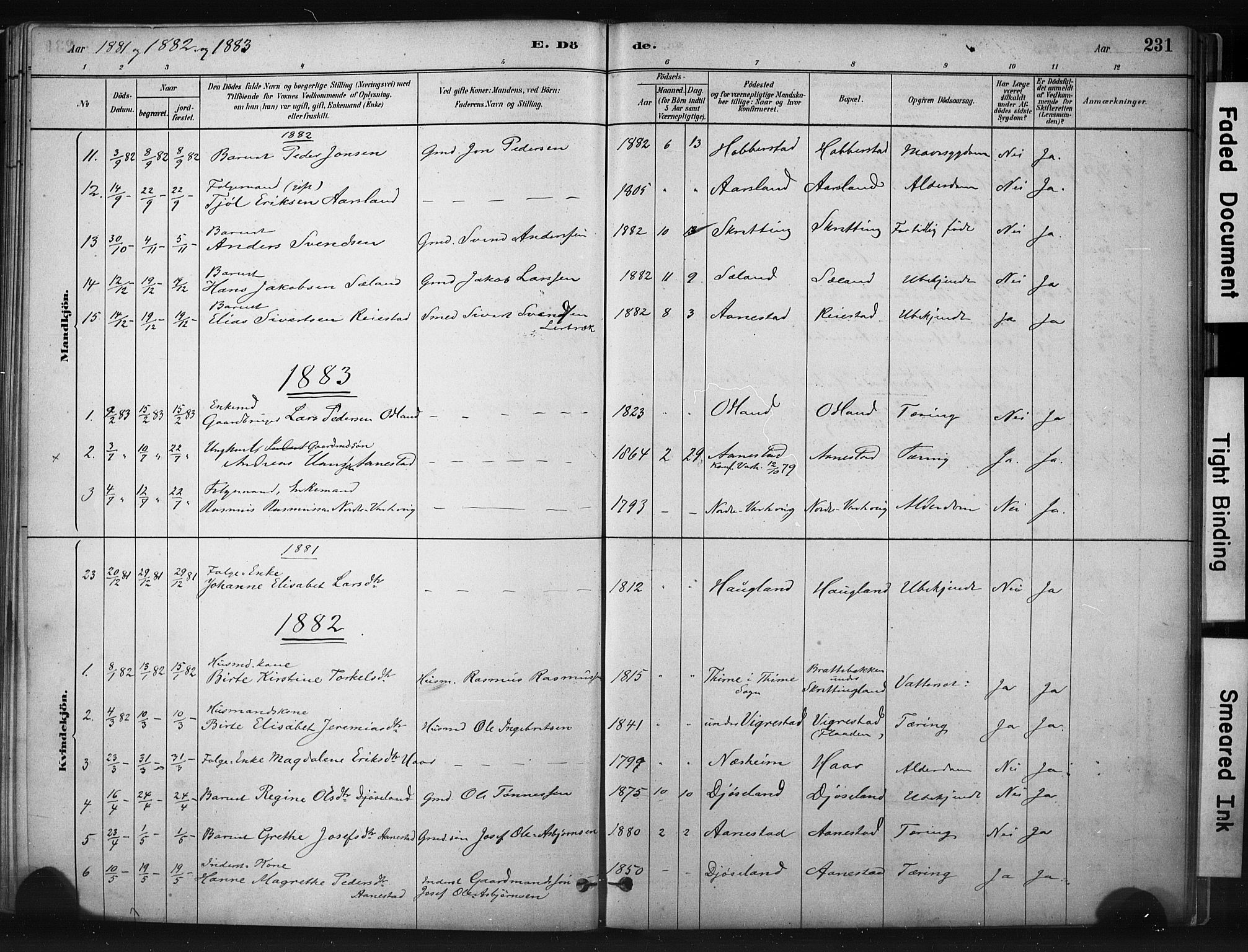 Hå sokneprestkontor, AV/SAST-A-101801/001/30BA/L0011: Ministerialbok nr. A 10, 1879-1900, s. 231