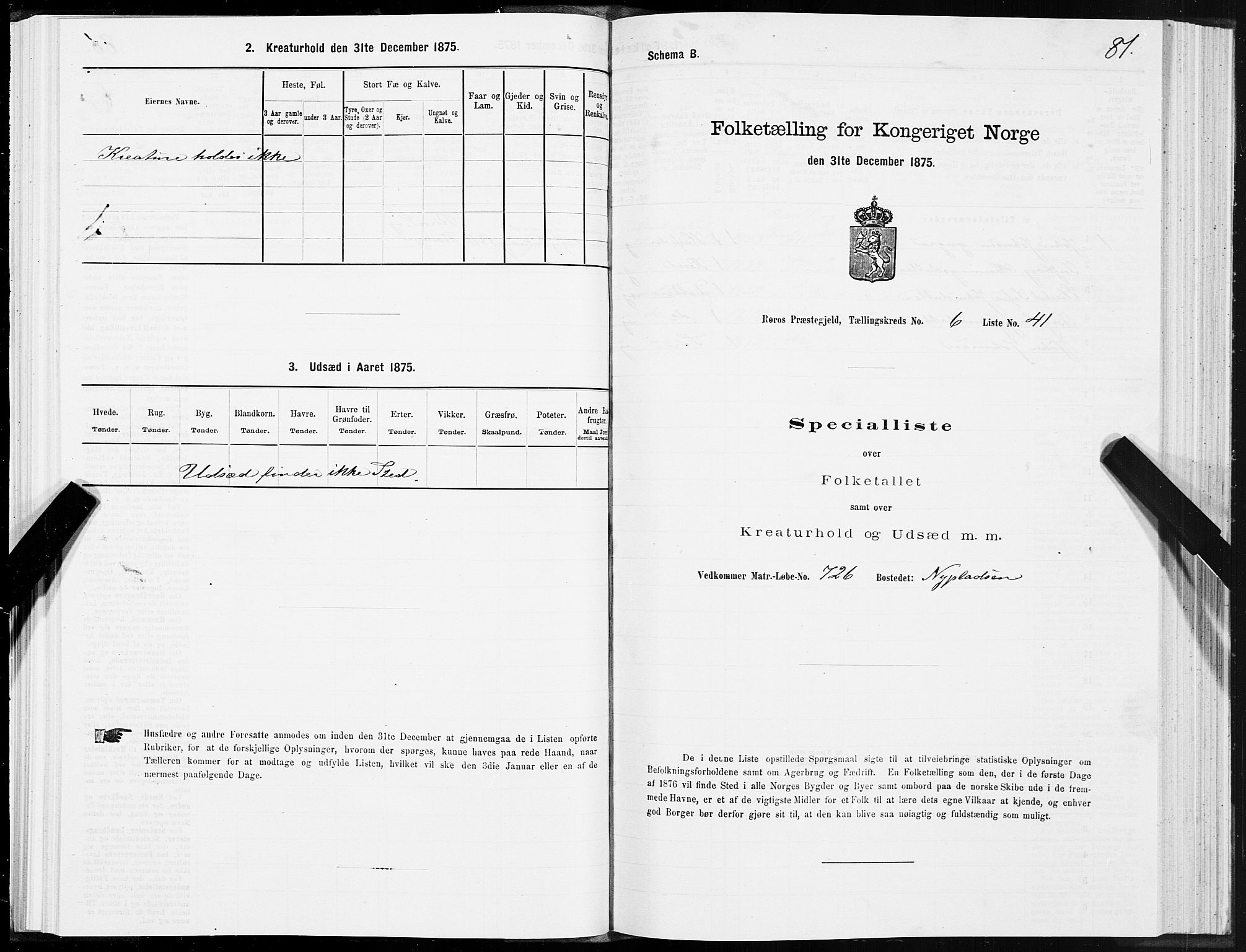 SAT, Folketelling 1875 for 1640P Røros prestegjeld, 1875, s. 4081