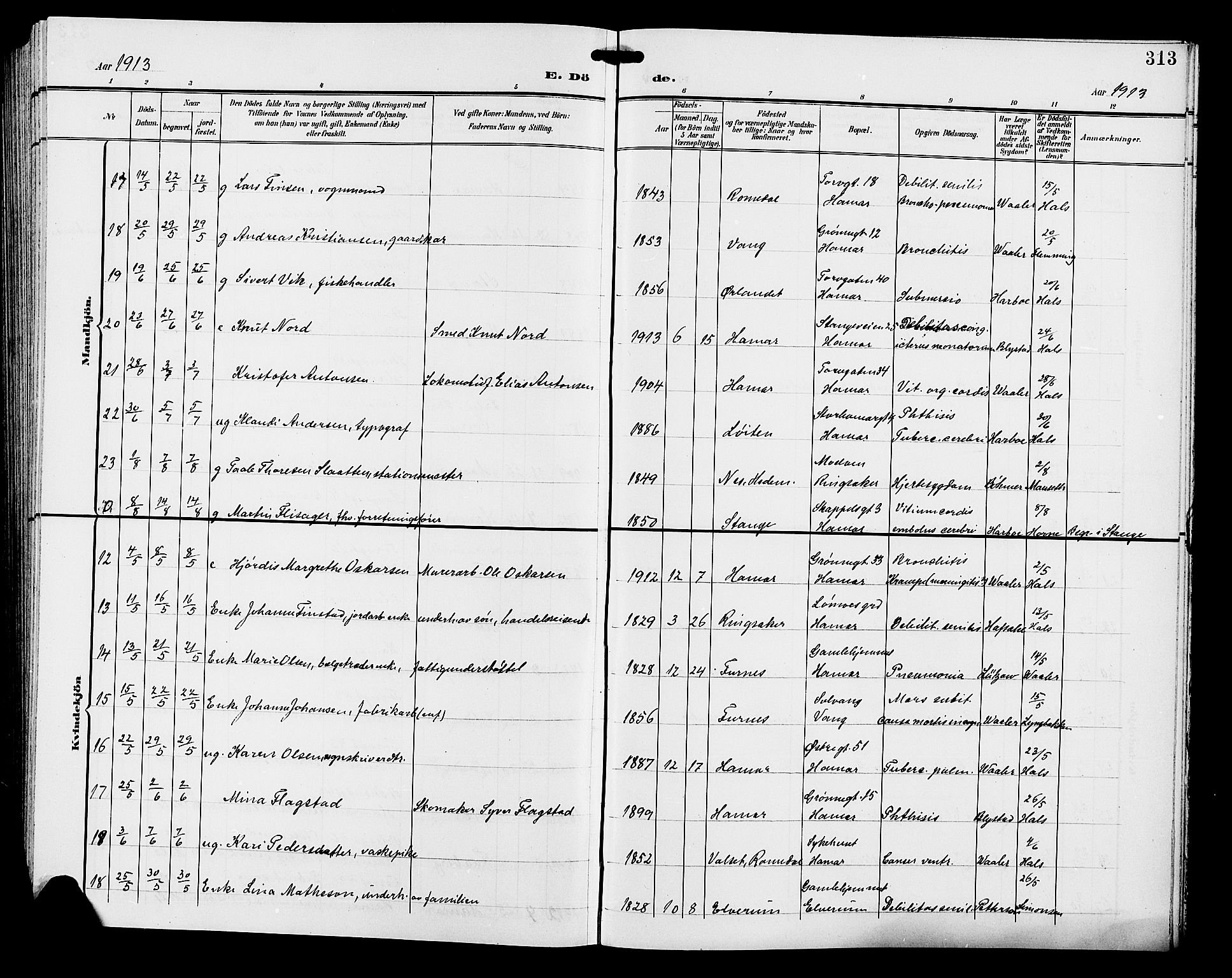 Hamar prestekontor, AV/SAH-DOMPH-002/H/Ha/Hab/L0001: Klokkerbok nr. 1, 1899-1914, s. 313