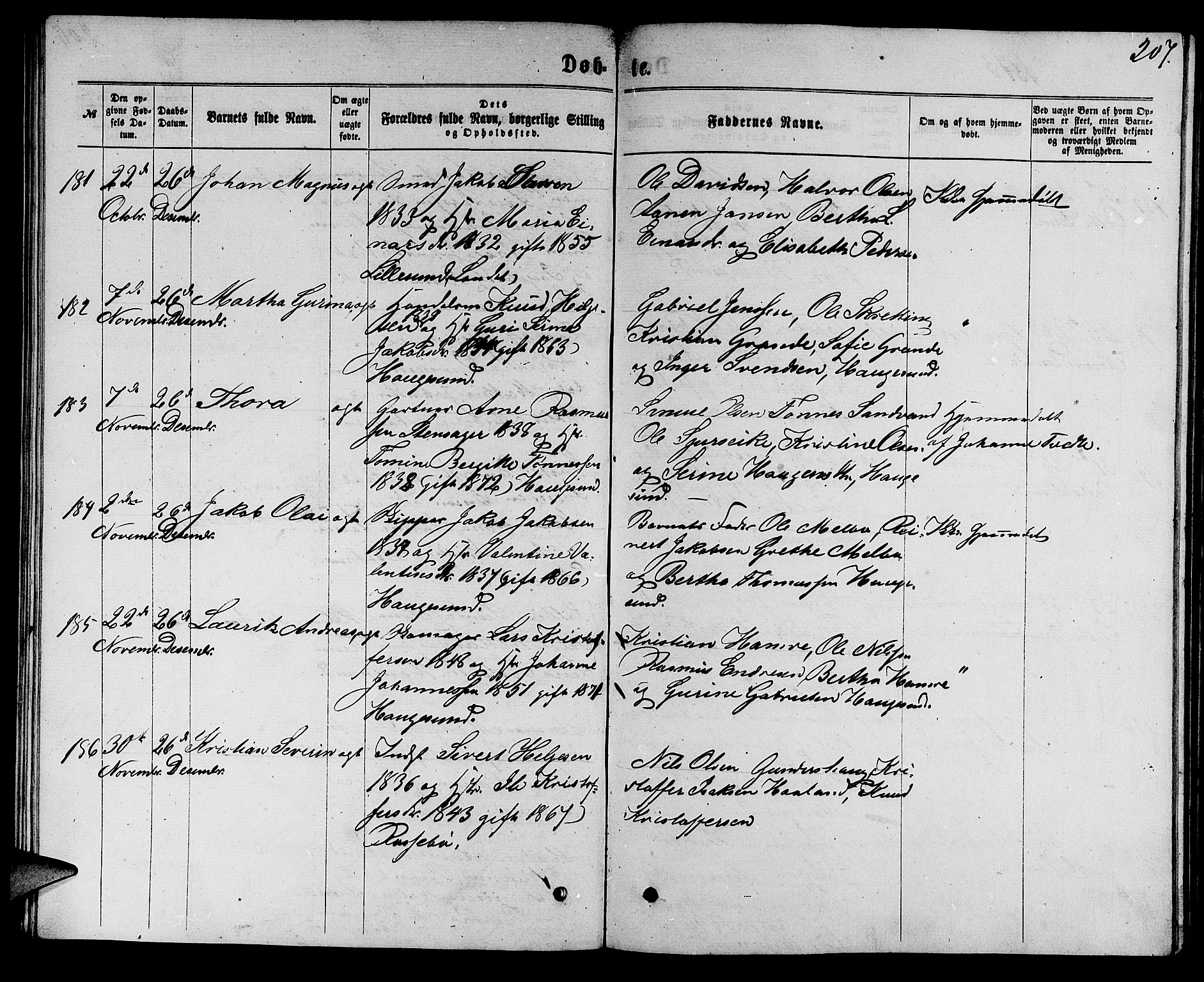 Torvastad sokneprestkontor, AV/SAST-A -101857/H/Ha/Hab/L0007: Klokkerbok nr. B 7, 1866-1873, s. 207