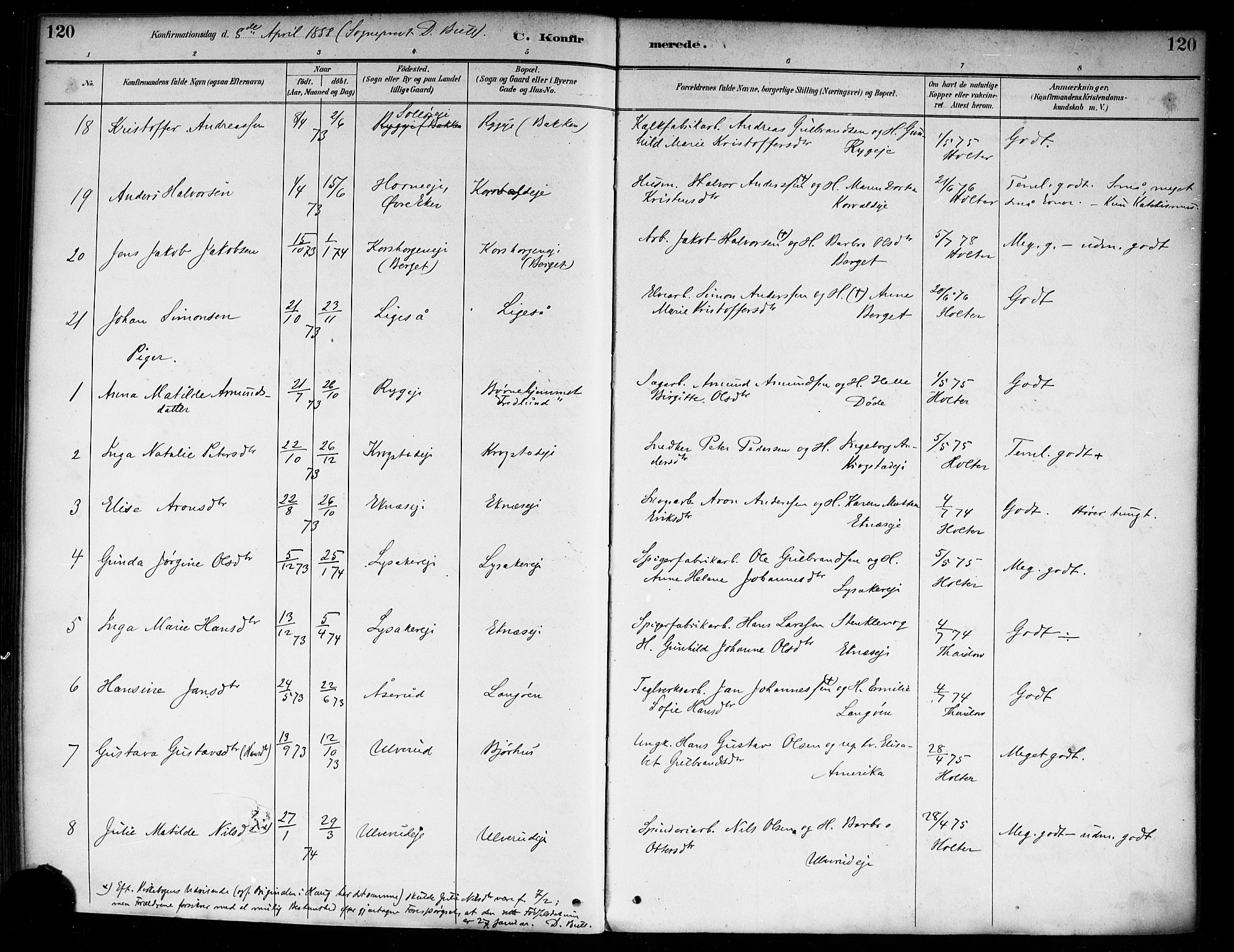 Nedre Eiker kirkebøker, AV/SAKO-A-612/F/Fa/L0003: Ministerialbok nr. 3, 1885-1892, s. 120