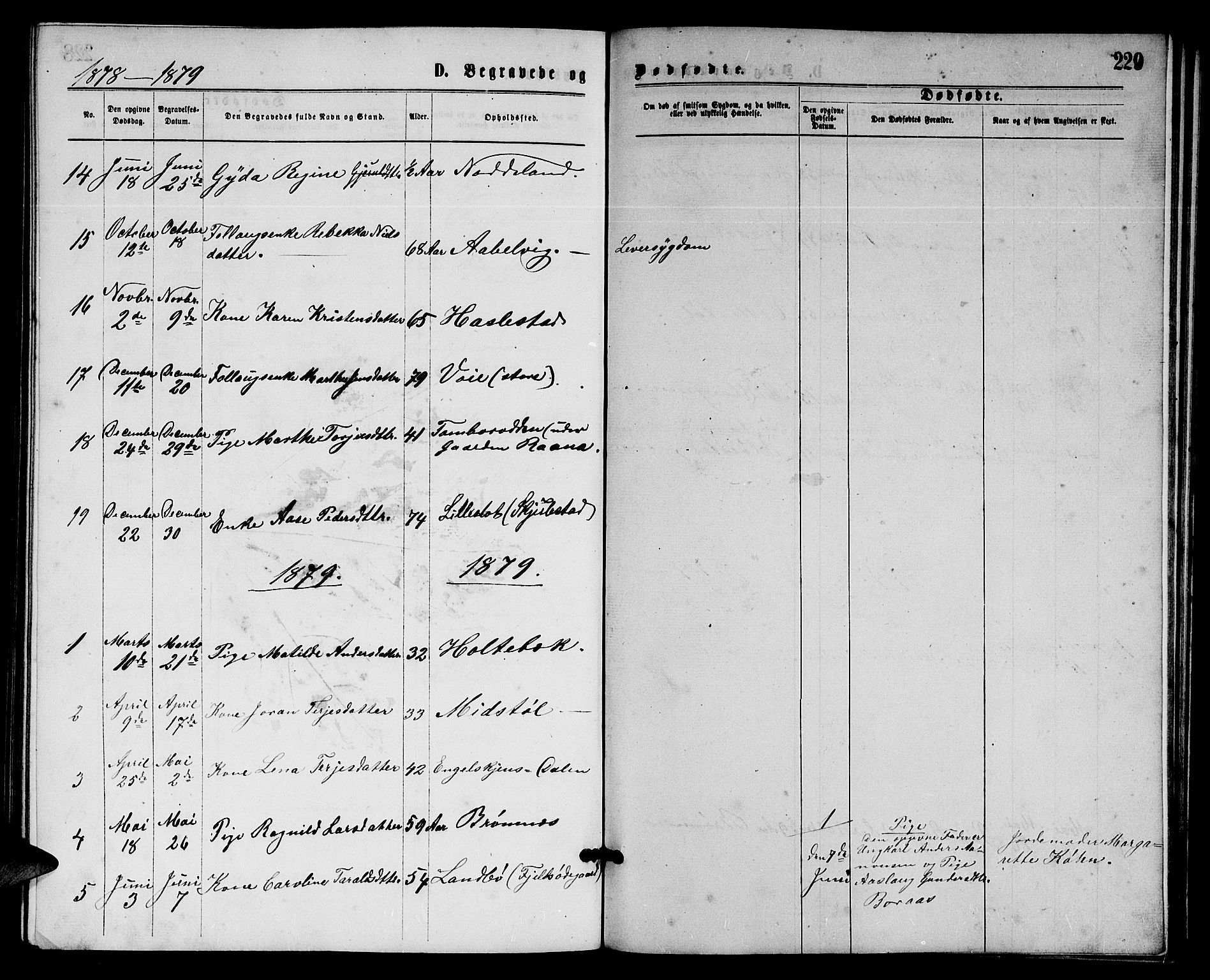 Austre Moland sokneprestkontor, AV/SAK-1111-0001/F/Fb/Fba/L0002: Klokkerbok nr. B 2, 1869-1879, s. 229