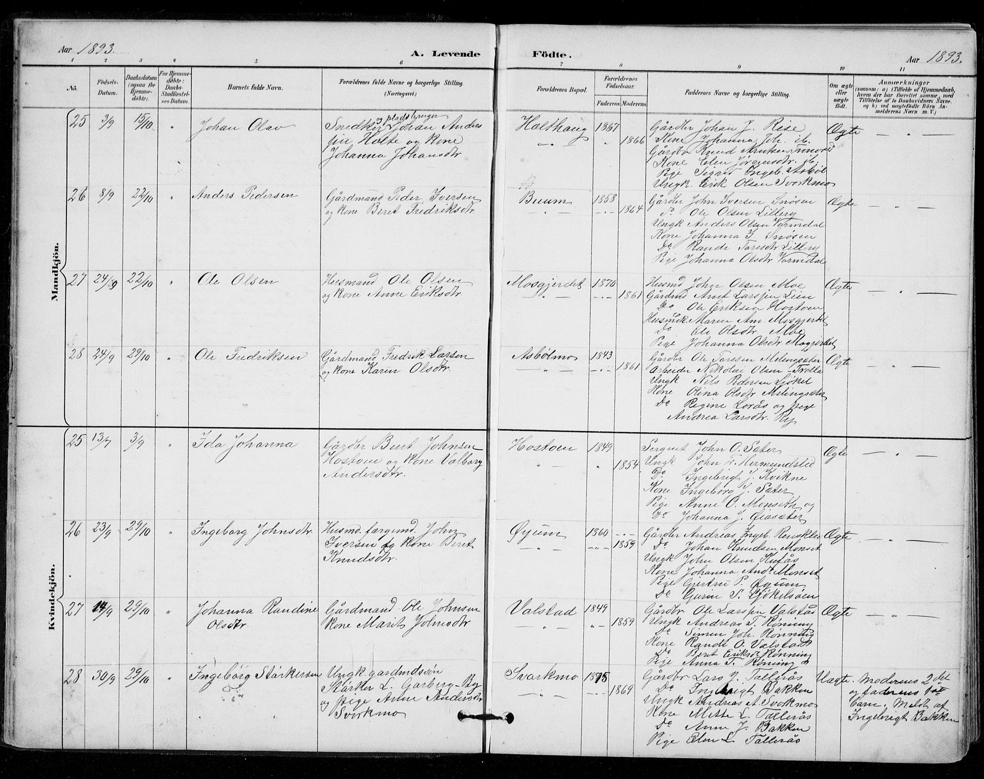 Ministerialprotokoller, klokkerbøker og fødselsregistre - Sør-Trøndelag, AV/SAT-A-1456/671/L0841: Ministerialbok nr. 671A03, 1893-1915
