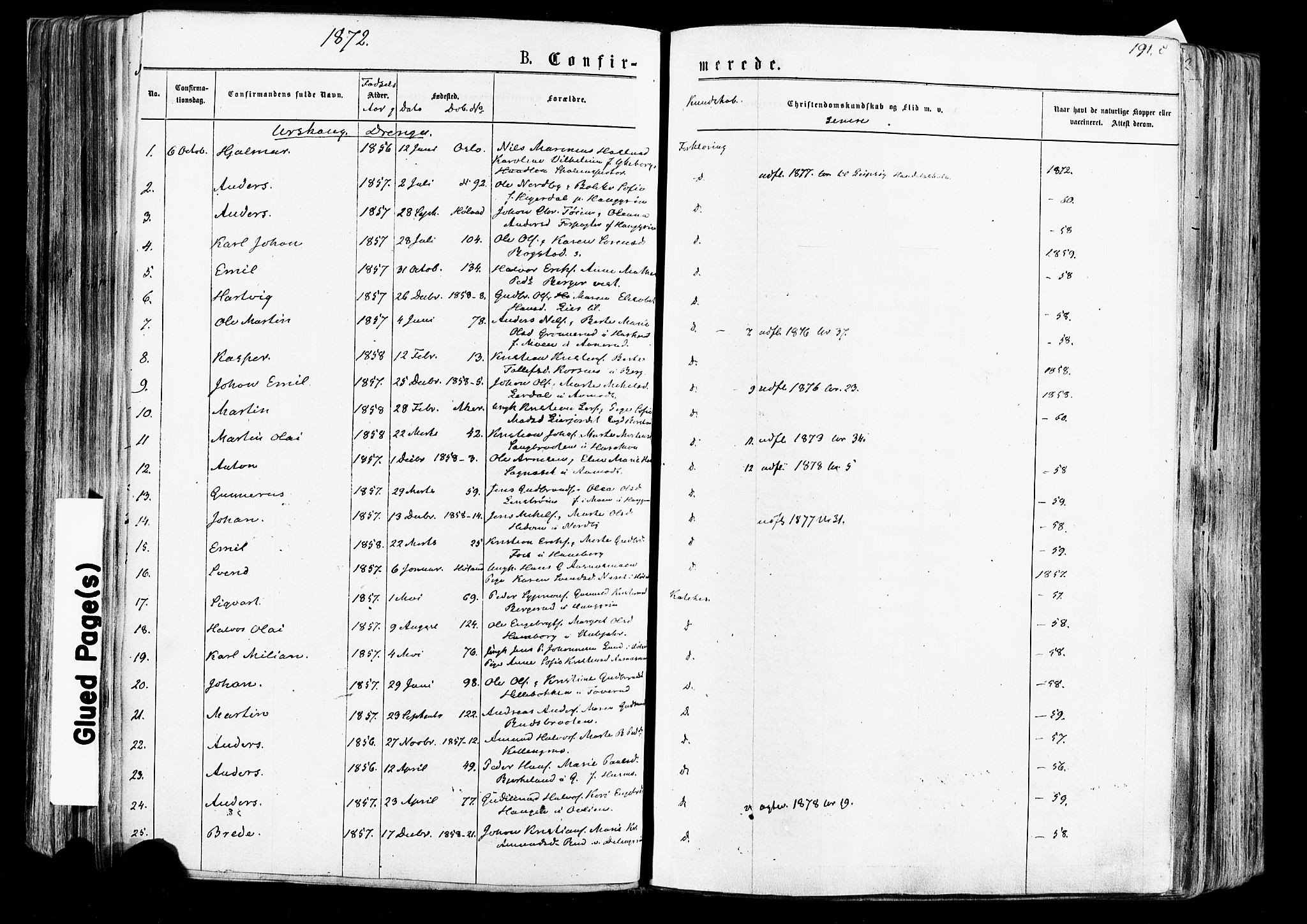 Aurskog prestekontor Kirkebøker, SAO/A-10304a/F/Fa/L0007: Ministerialbok nr. I 7, 1854-1877, s. 191c