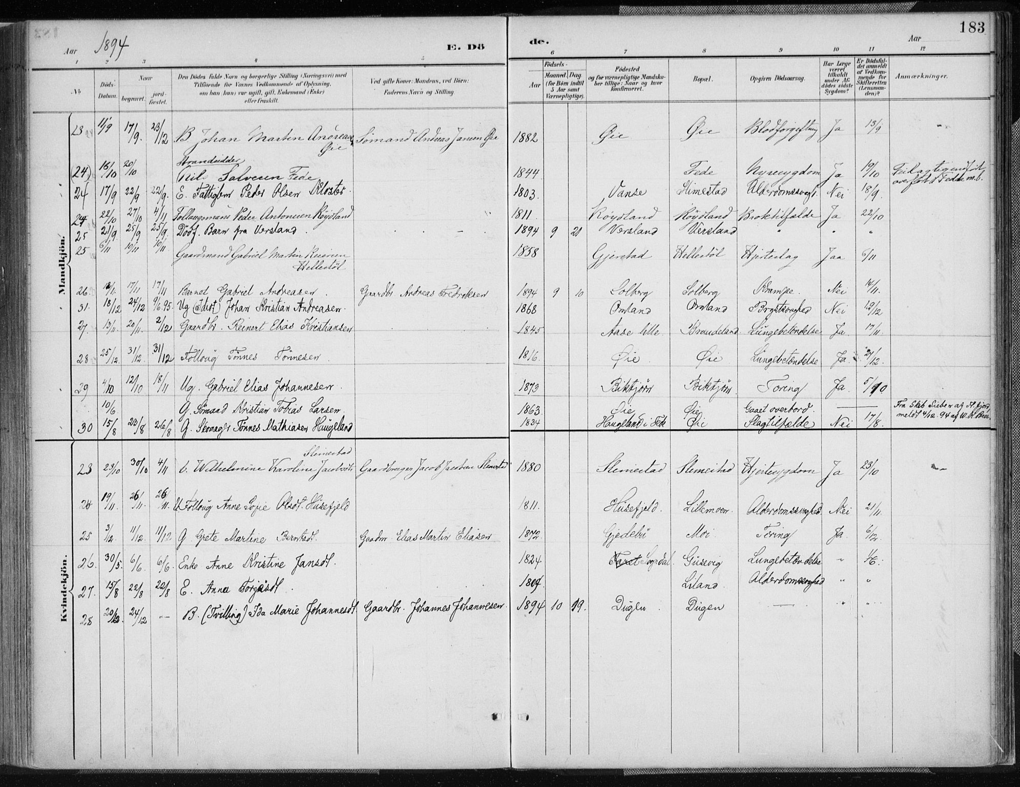 Kvinesdal sokneprestkontor, AV/SAK-1111-0026/F/Fa/Fab/L0008: Ministerialbok nr. A 8, 1886-1897, s. 183