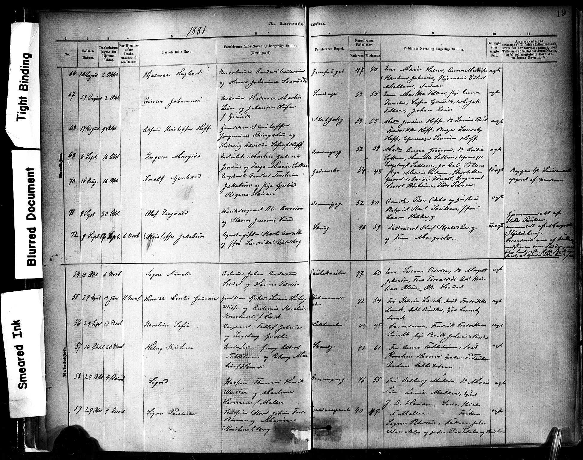 Ministerialprotokoller, klokkerbøker og fødselsregistre - Sør-Trøndelag, SAT/A-1456/602/L0119: Ministerialbok nr. 602A17, 1880-1901, s. 19