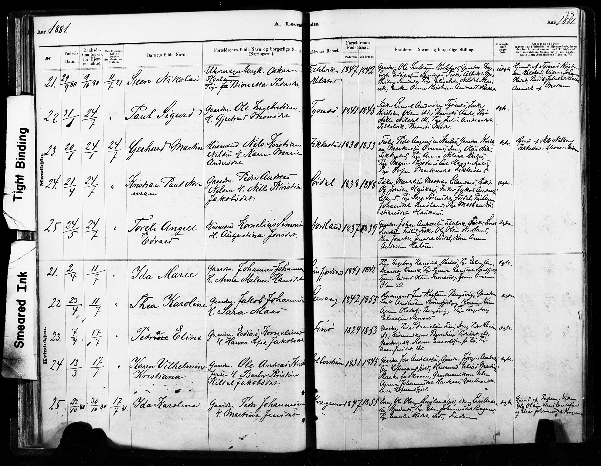 Ministerialprotokoller, klokkerbøker og fødselsregistre - Nordland, AV/SAT-A-1459/859/L0846: Ministerialbok nr. 859A06, 1878-1889, s. 28