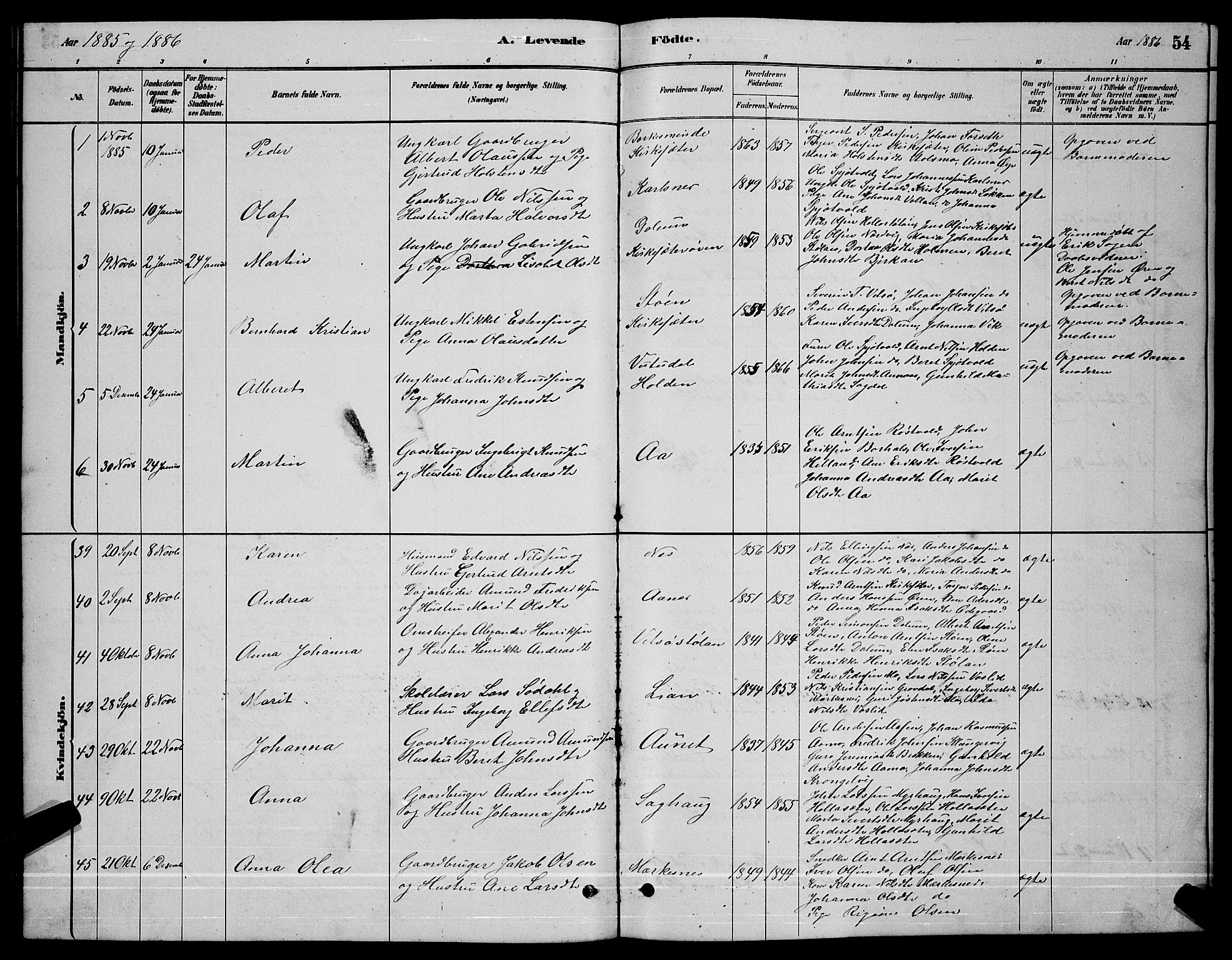 Ministerialprotokoller, klokkerbøker og fødselsregistre - Sør-Trøndelag, AV/SAT-A-1456/630/L0504: Klokkerbok nr. 630C02, 1879-1898, s. 54