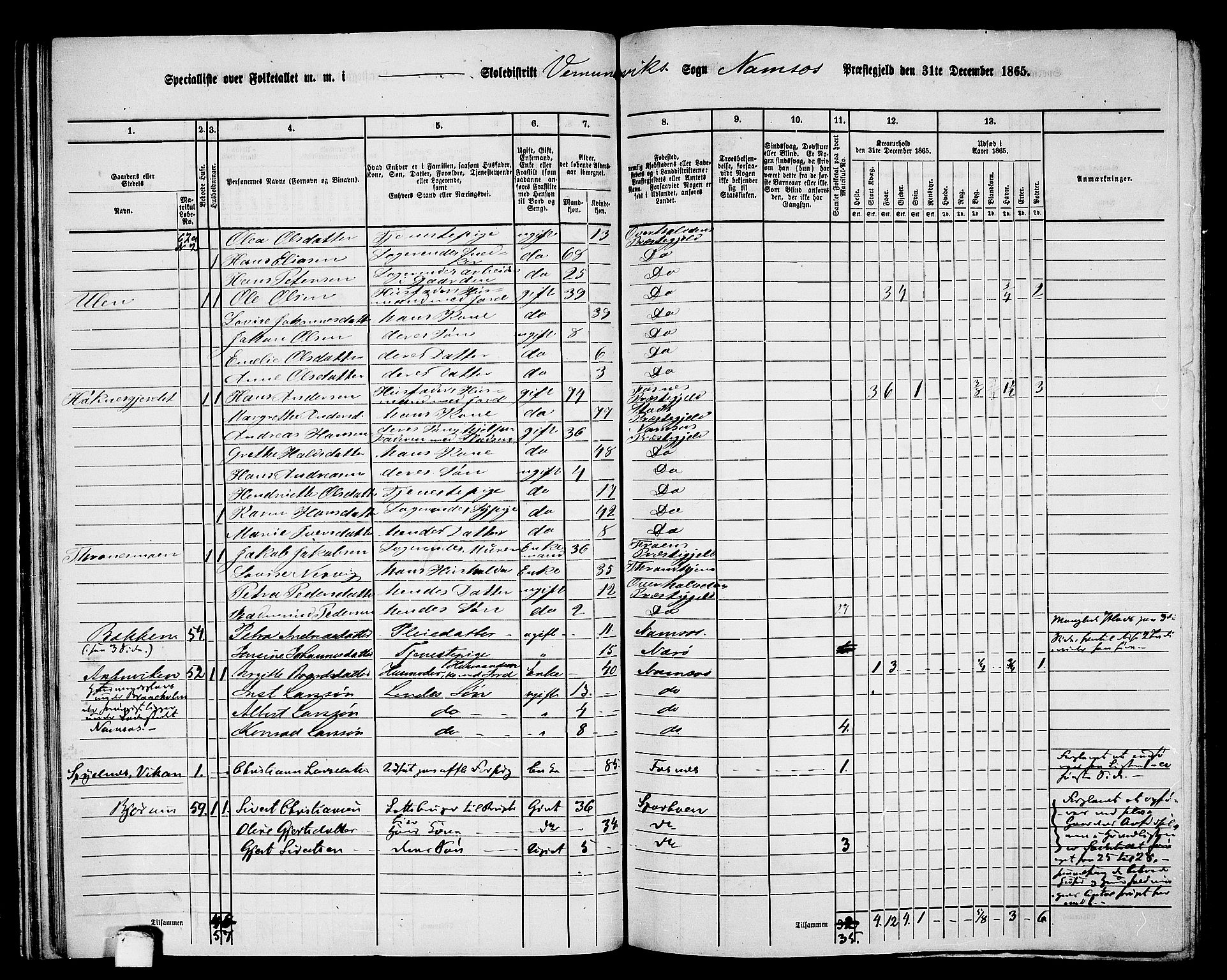 RA, Folketelling 1865 for 1745L Namsos prestegjeld, Vemundvik sokn og Sævik sokn, 1865, s. 45