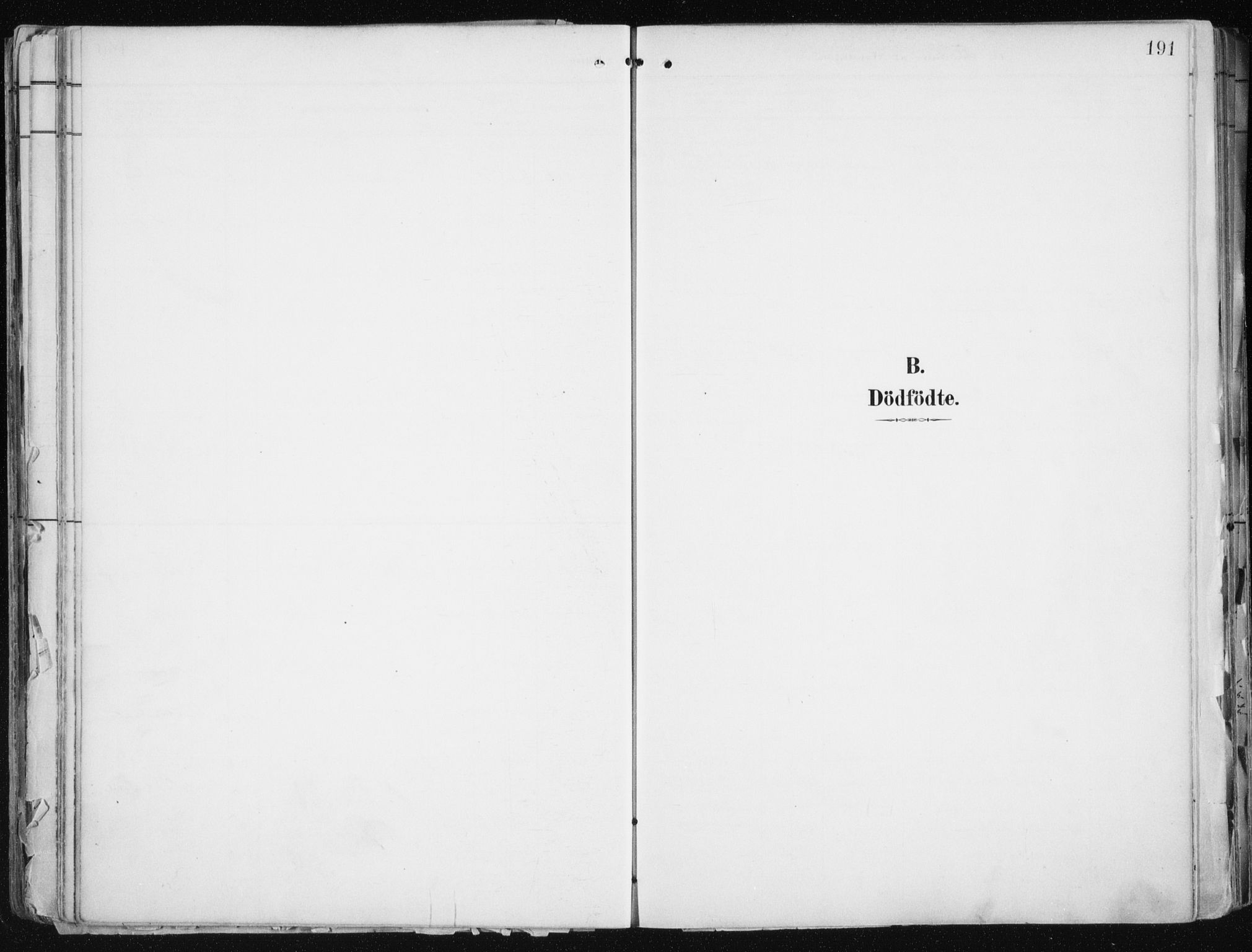 Tromsø sokneprestkontor/stiftsprosti/domprosti, AV/SATØ-S-1343/G/Ga/L0015kirke: Ministerialbok nr. 15, 1889-1899, s. 191