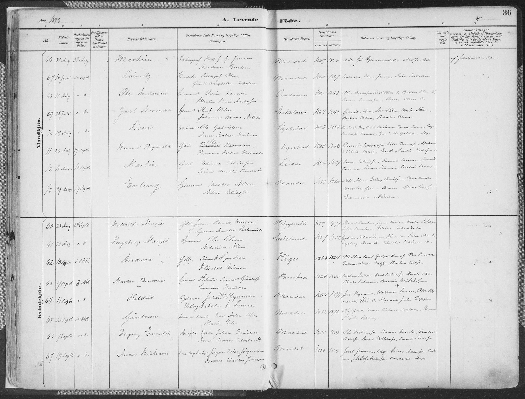 Mandal sokneprestkontor, AV/SAK-1111-0030/F/Fa/Faa/L0018: Ministerialbok nr. A 18, 1890-1905, s. 36