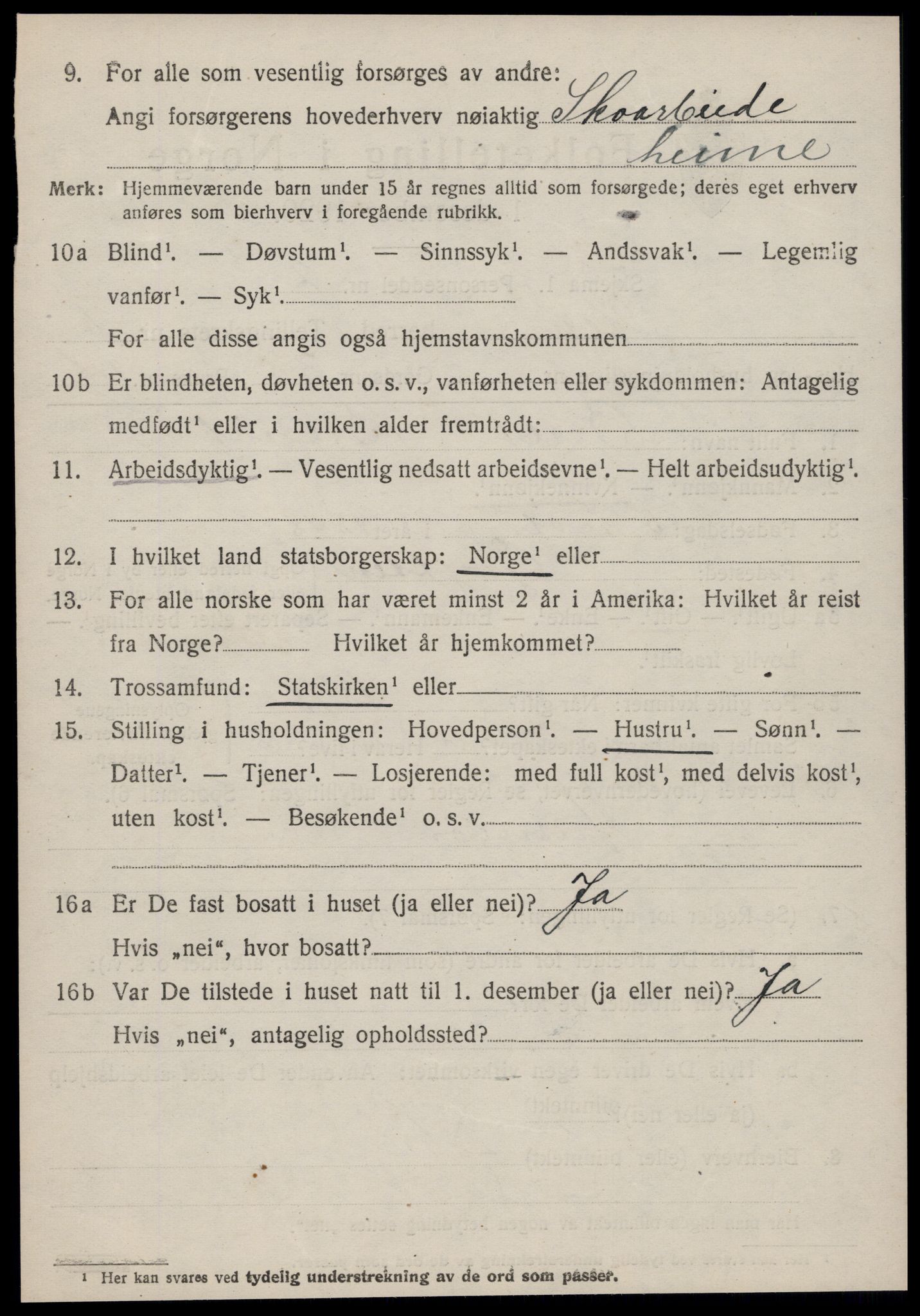 SAT, Folketelling 1920 for 1540 Hen herred, 1920, s. 507