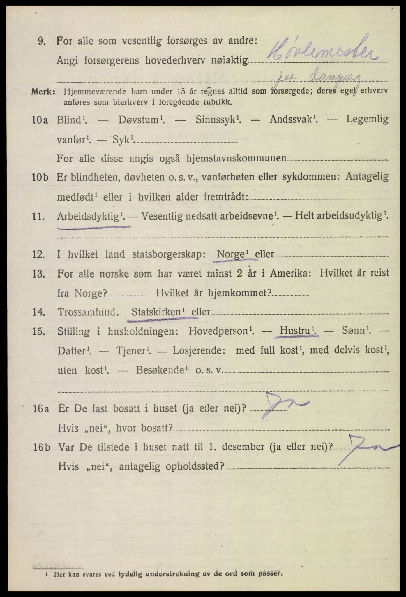 SAK, Folketelling 1920 for 0936 Hornnes herred, 1920, s. 570
