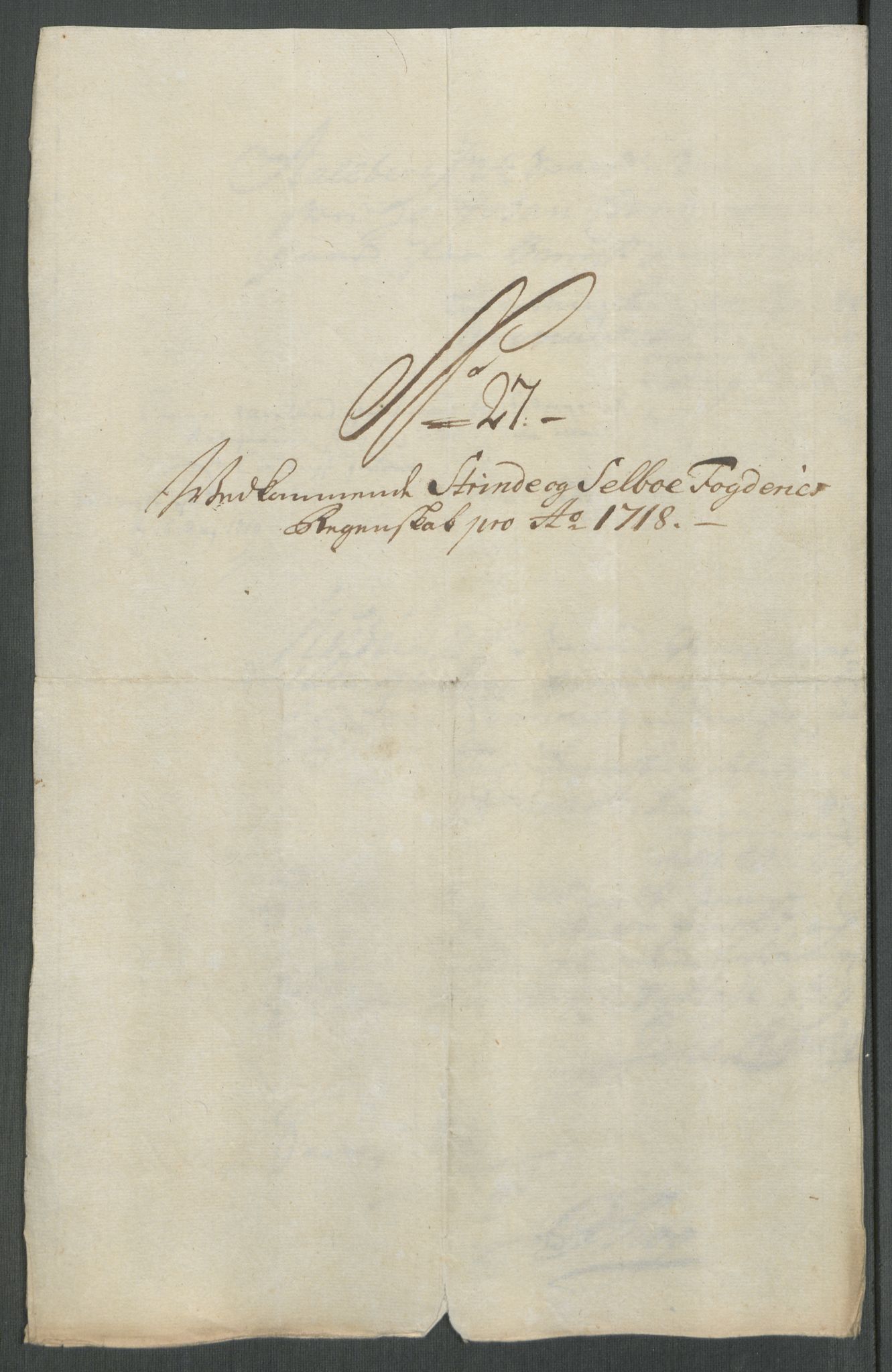 Rentekammeret inntil 1814, Reviderte regnskaper, Fogderegnskap, RA/EA-4092/R61/L4116: Fogderegnskap Strinda og Selbu, 1717-1718, s. 485