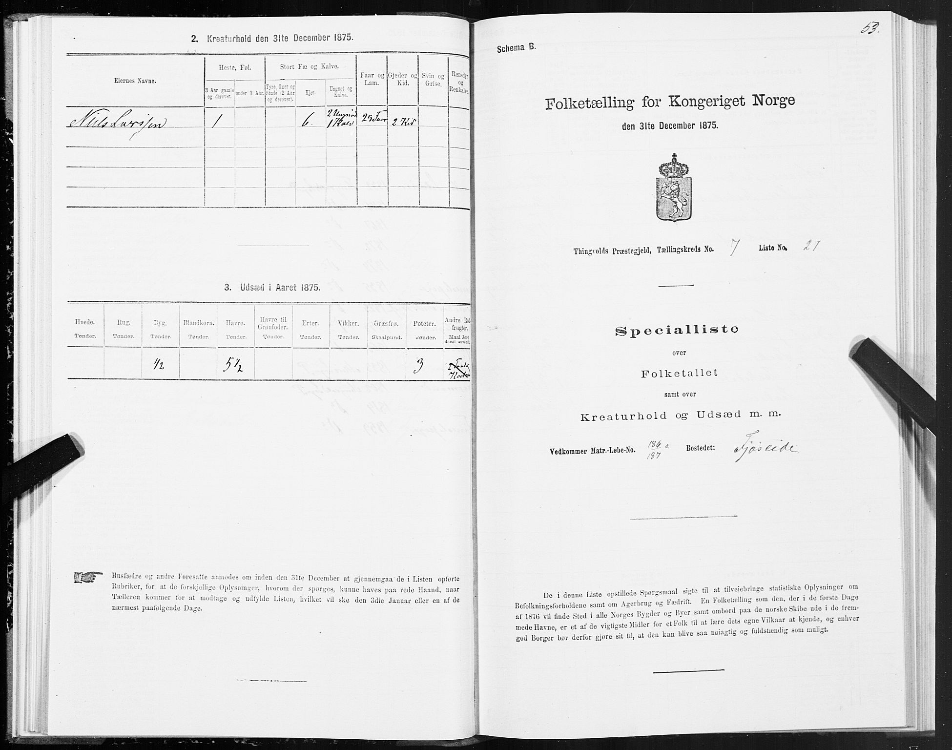 SAT, Folketelling 1875 for 1560P Tingvoll prestegjeld, 1875, s. 3053