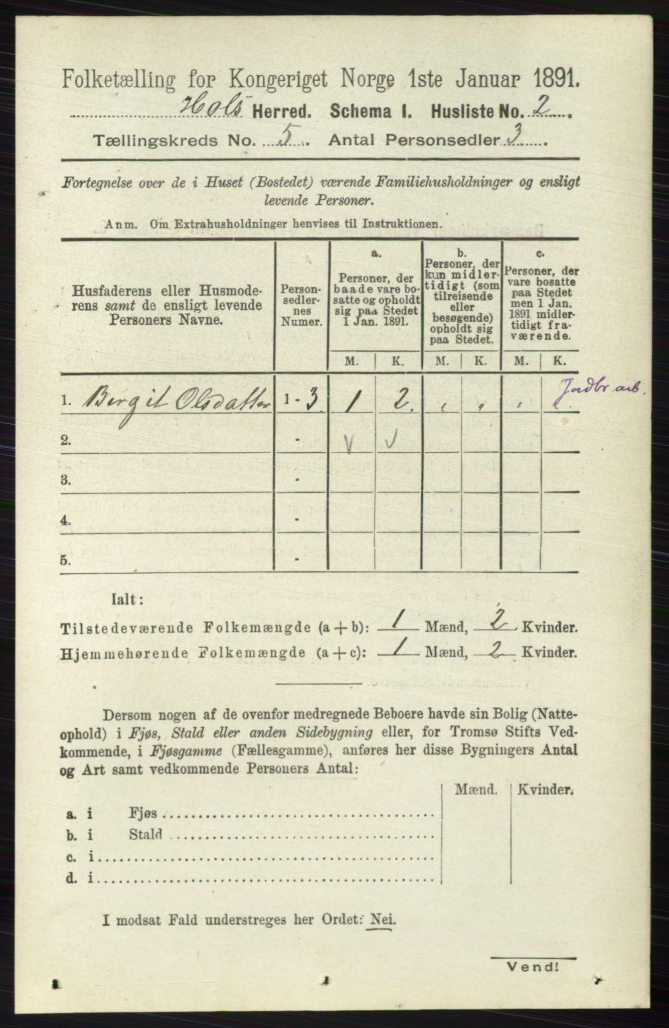 RA, Folketelling 1891 for 0620 Hol herred, 1891, s. 1419